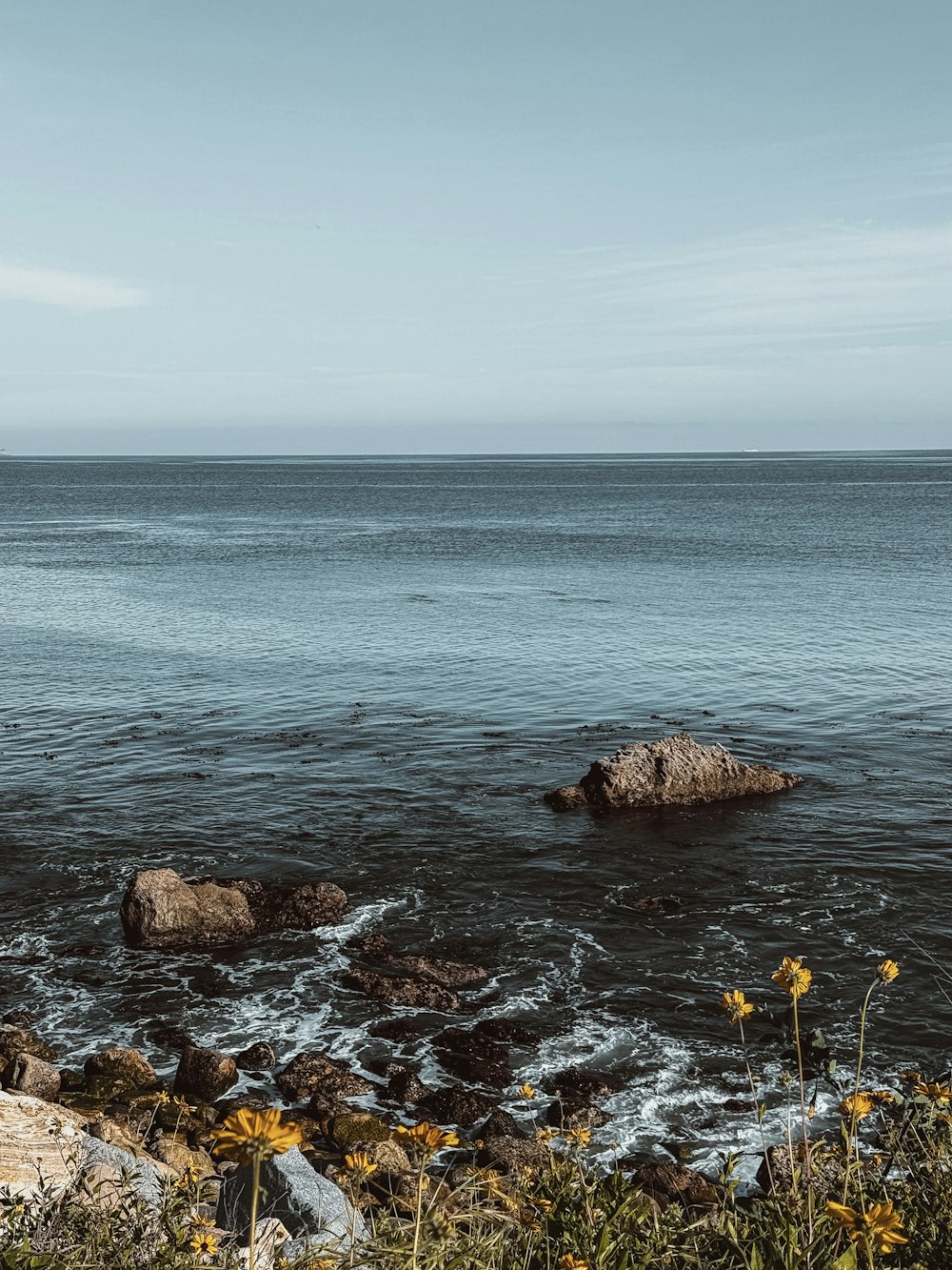 a body of water surrounded by rocks and flowers