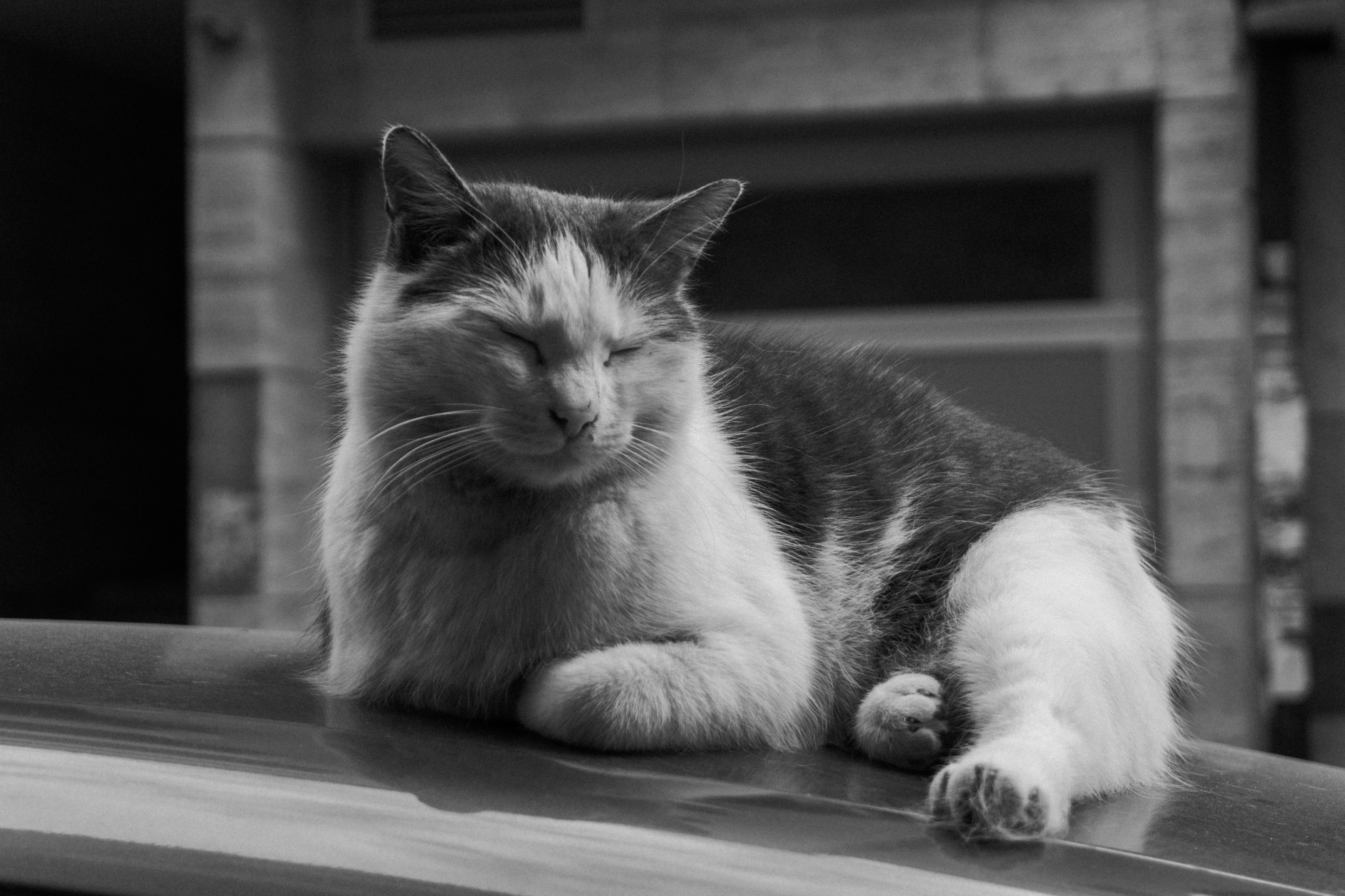 Photo by anton_malahov