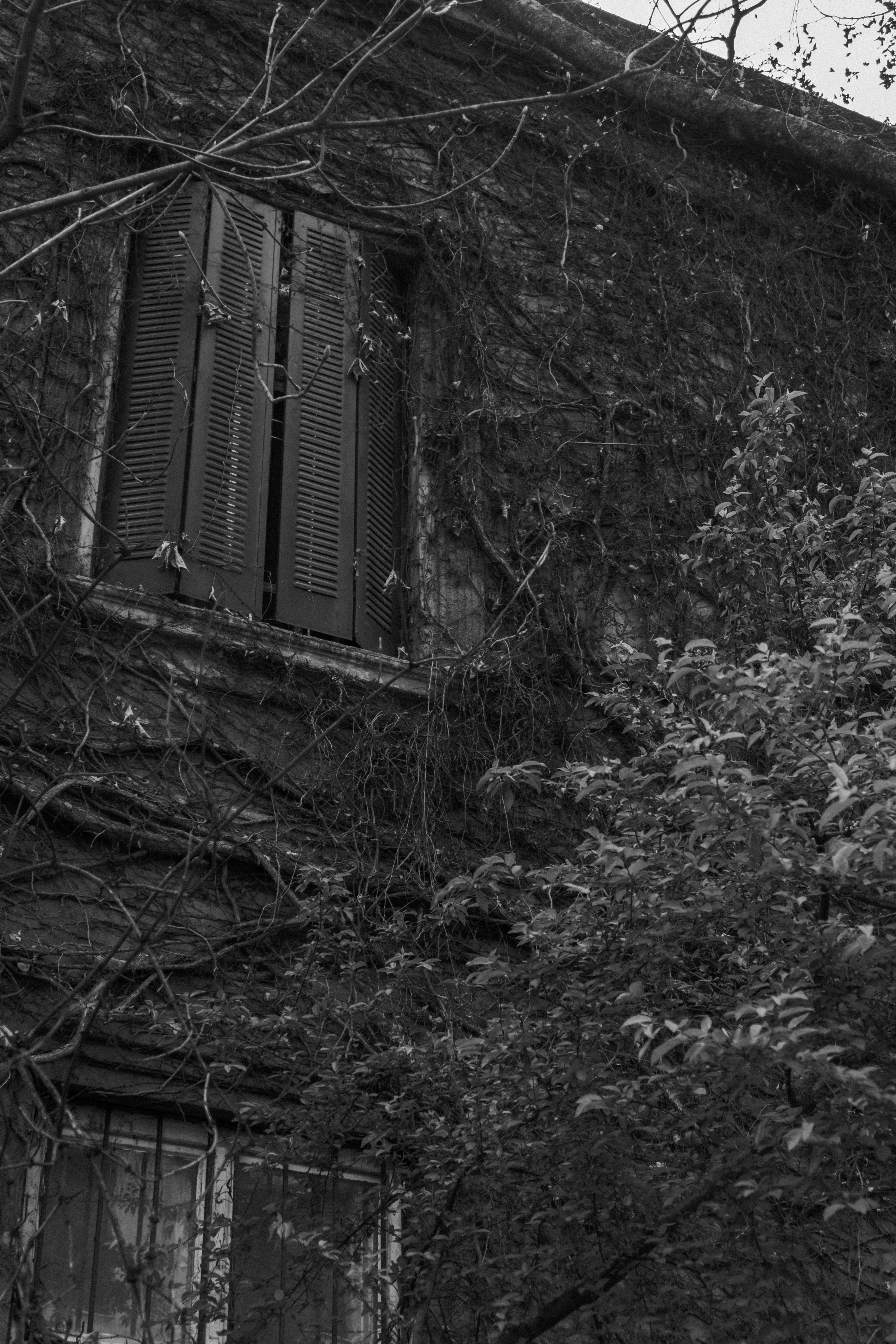 Photo by anton_malahov