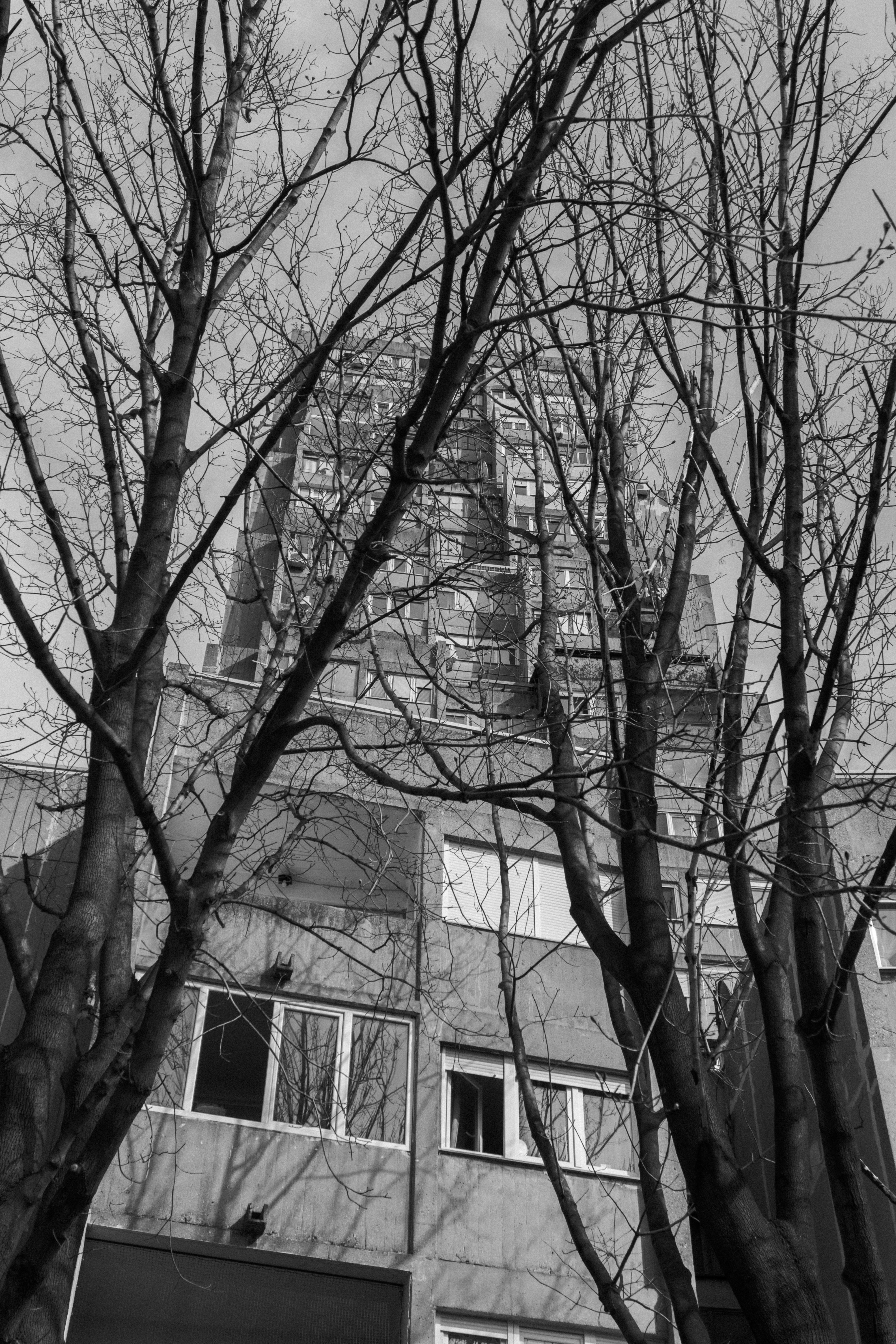 Photo by anton_malahov