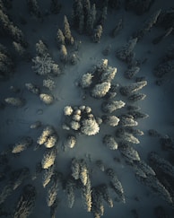 an aerial view of a snow covered forest