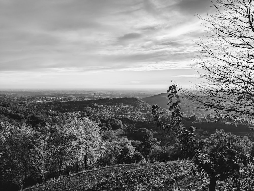 a black and white photo of trees and hills