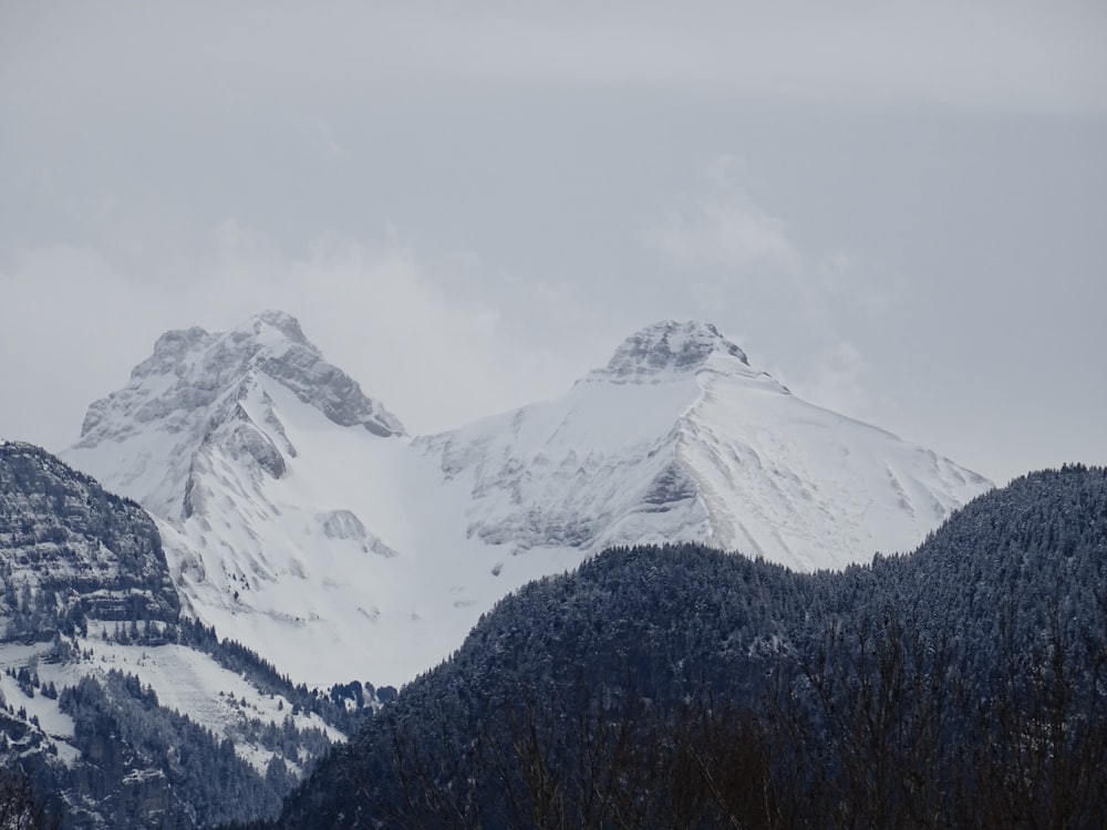 a mountain range covered in snow with trees in the foreground