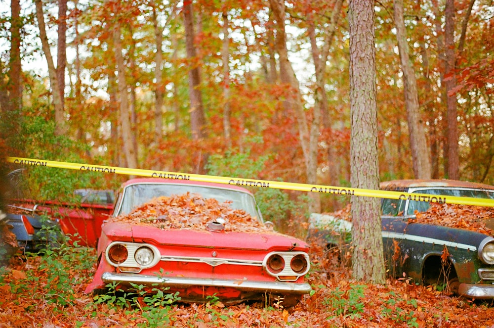 a couple of old cars sitting in the middle of a forest
