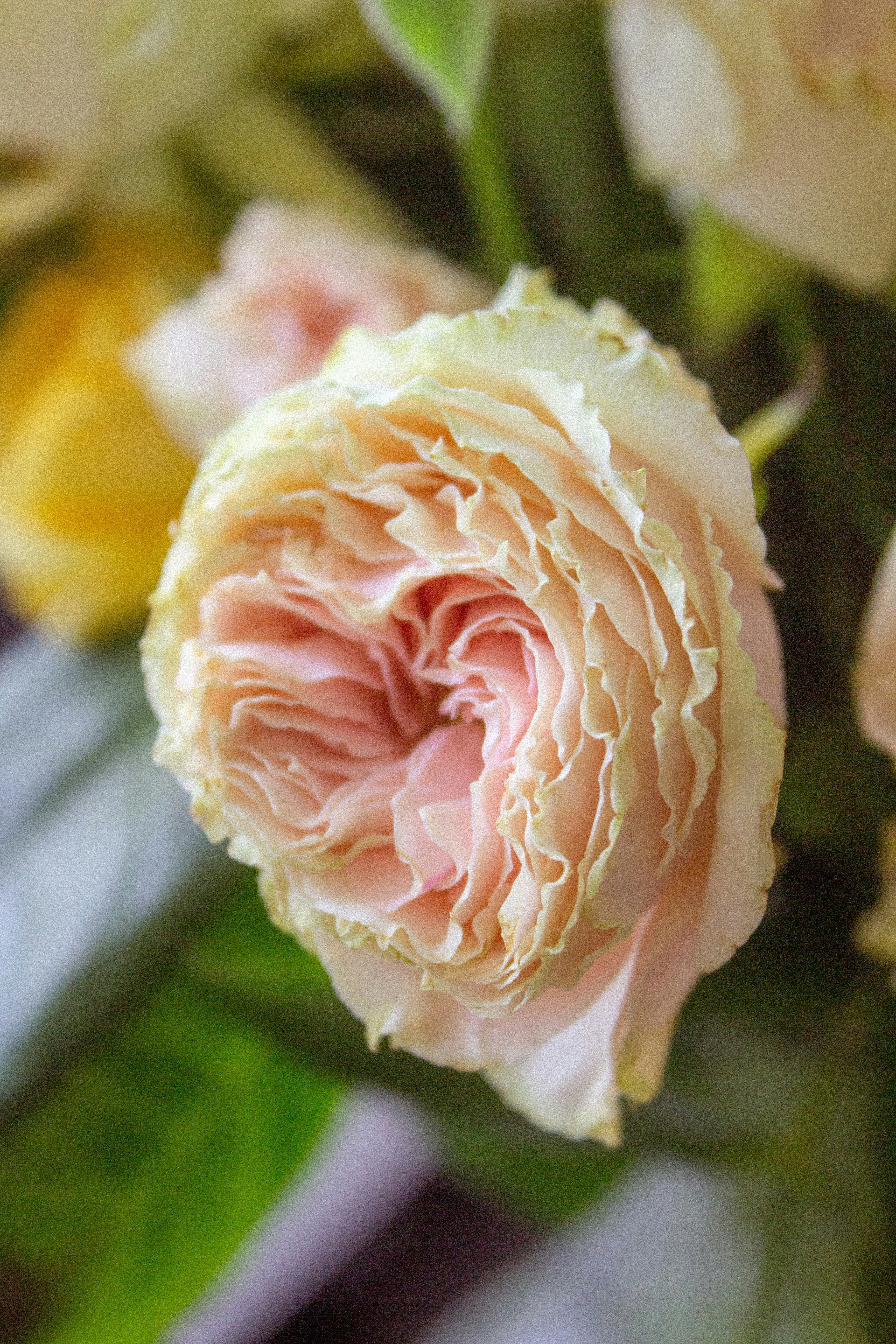Photo by mashyllya