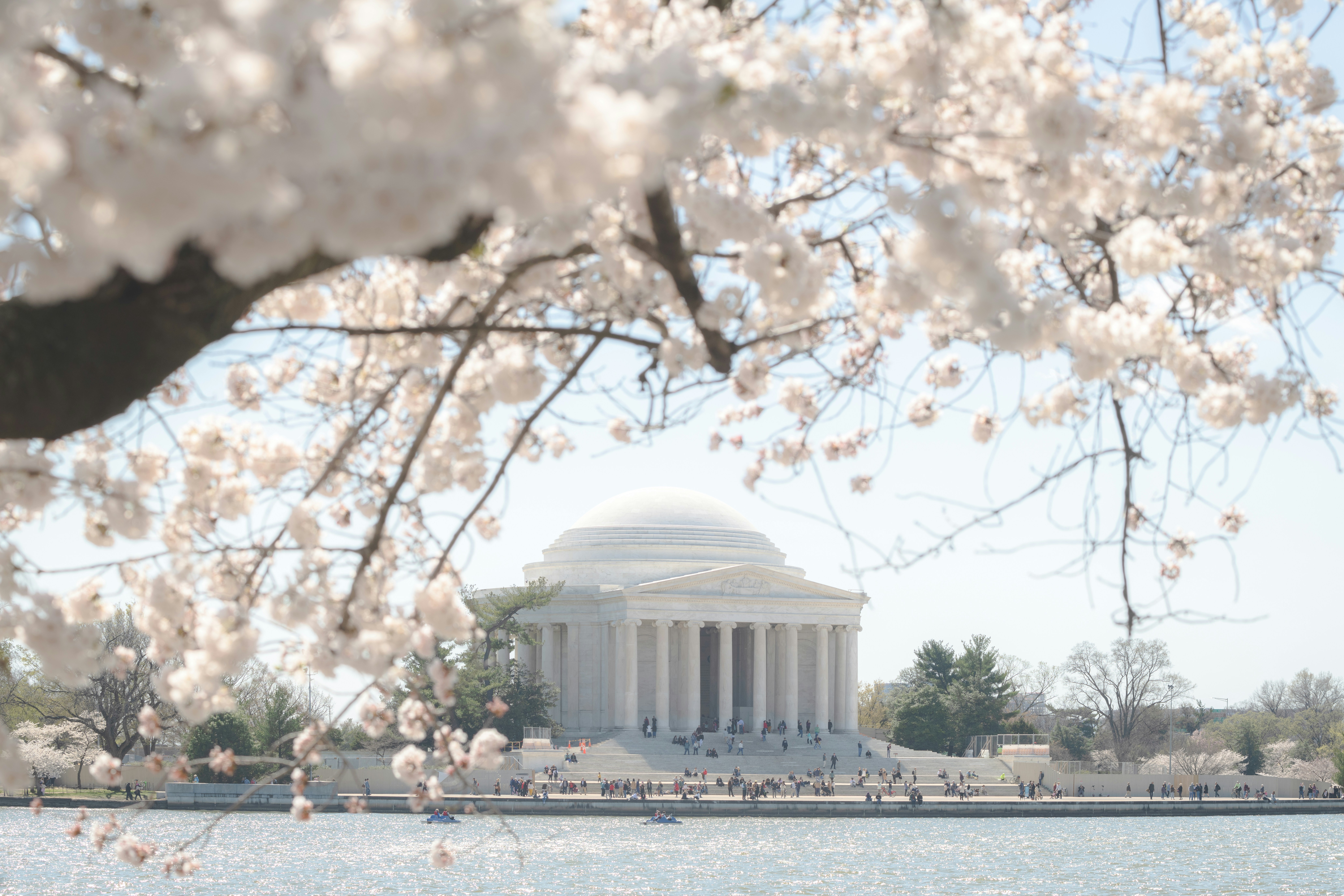 Photo by sriniunsplash