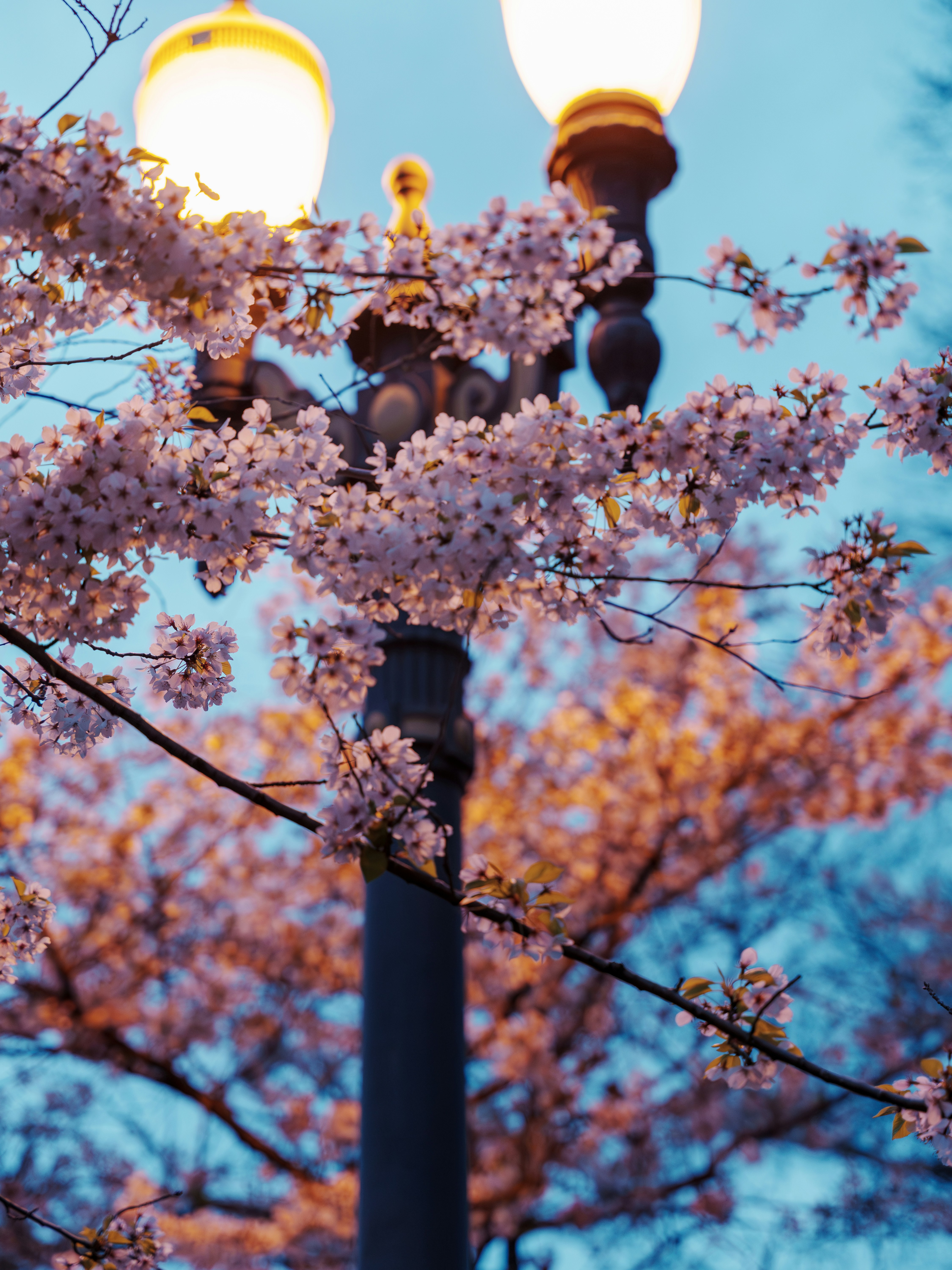 Photo by ximinlin