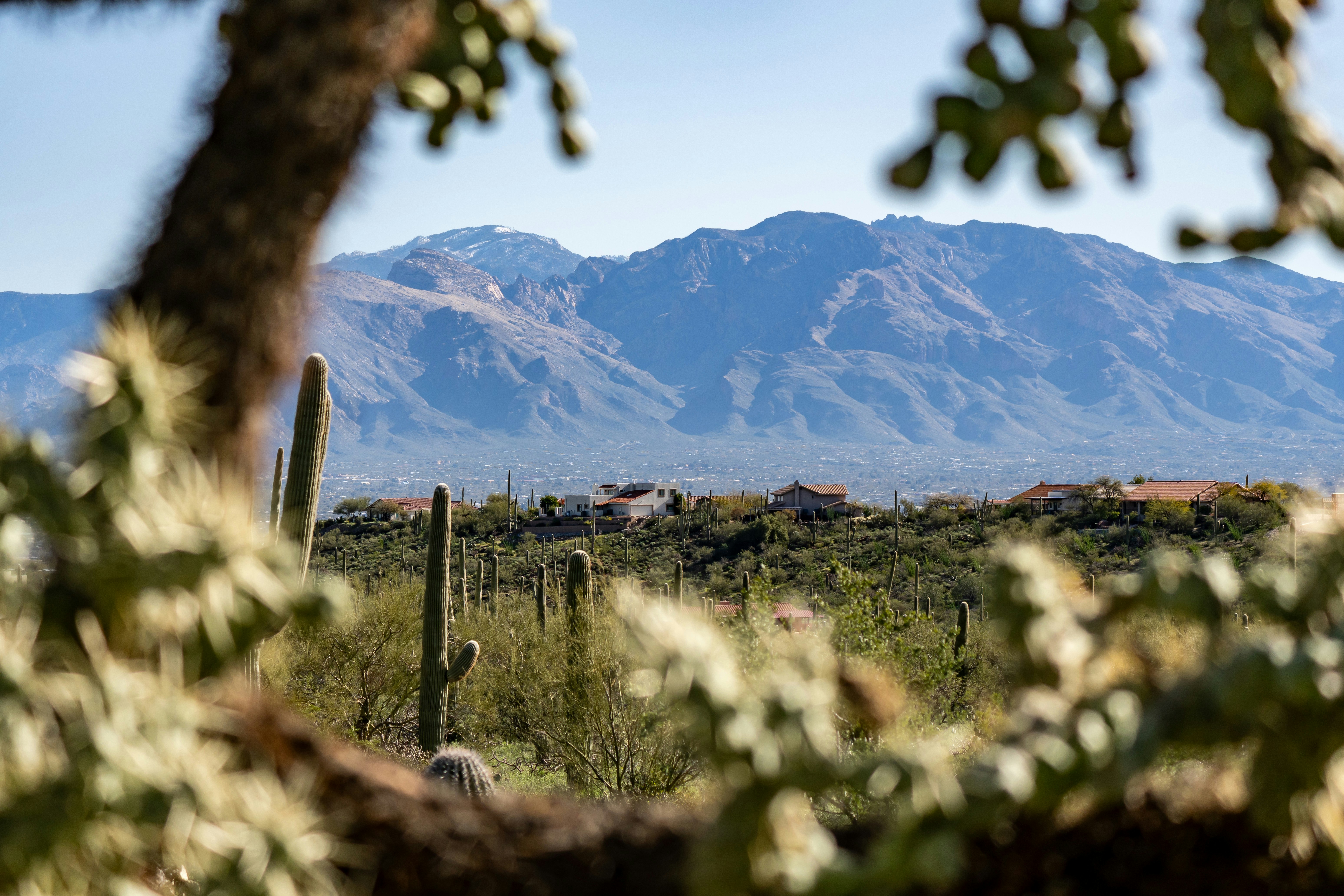 a view of a desert with mountains in the background, 
