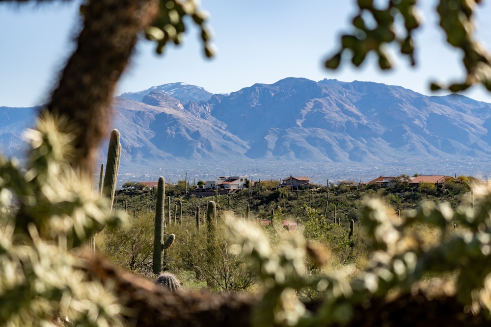 a view of a desert with mountains in the background