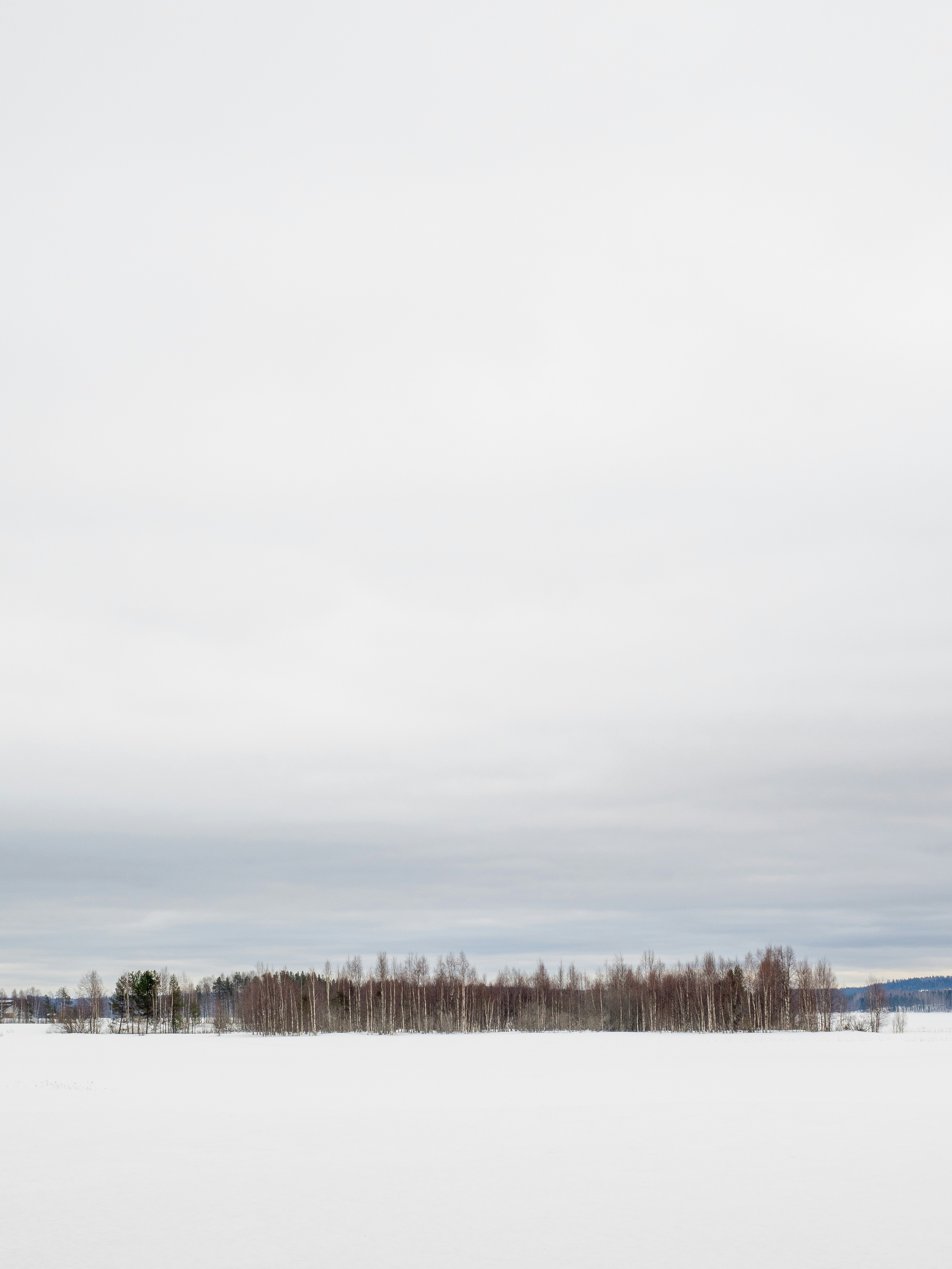 Photo by timonreinhard