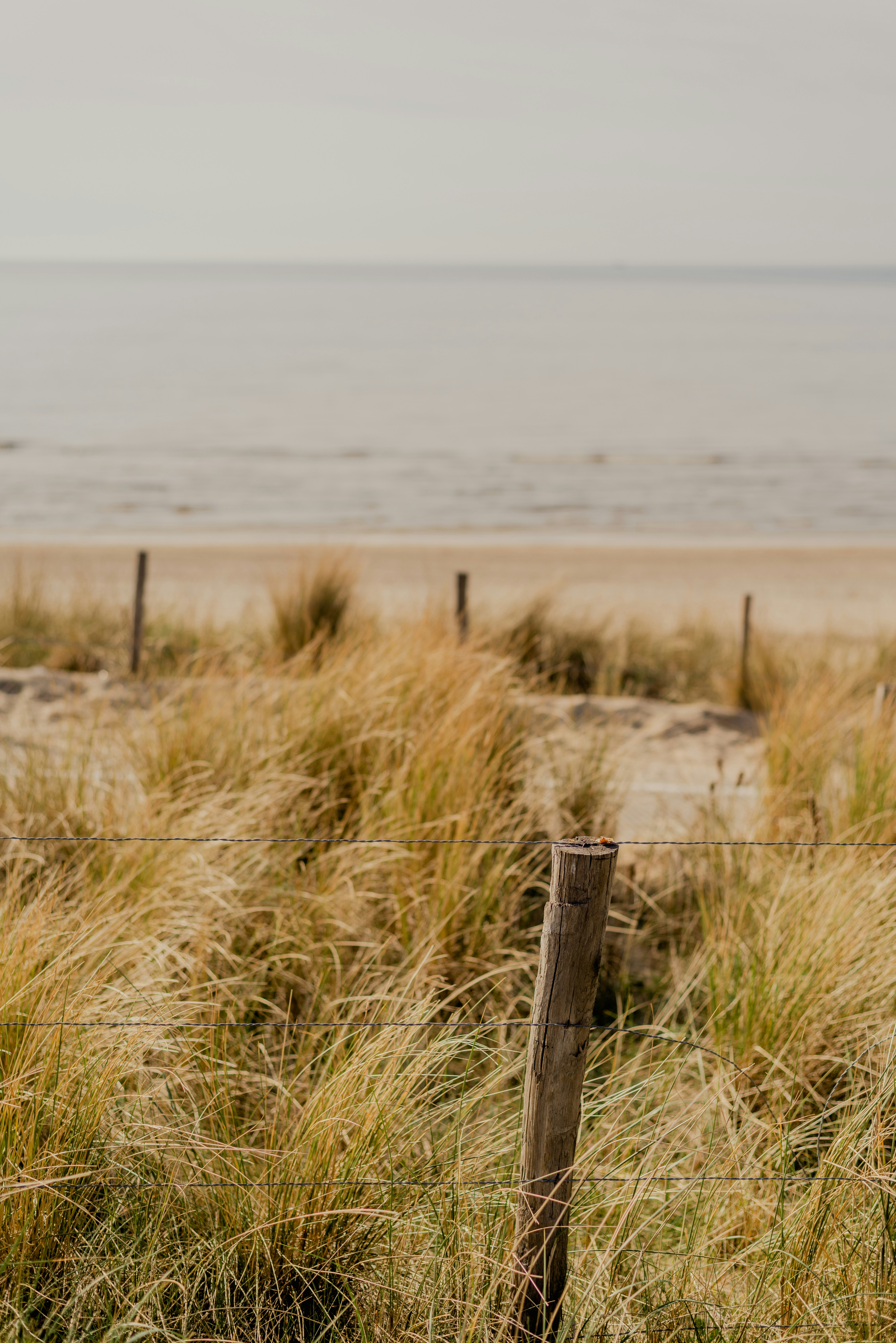 Photo by eugenivy_now