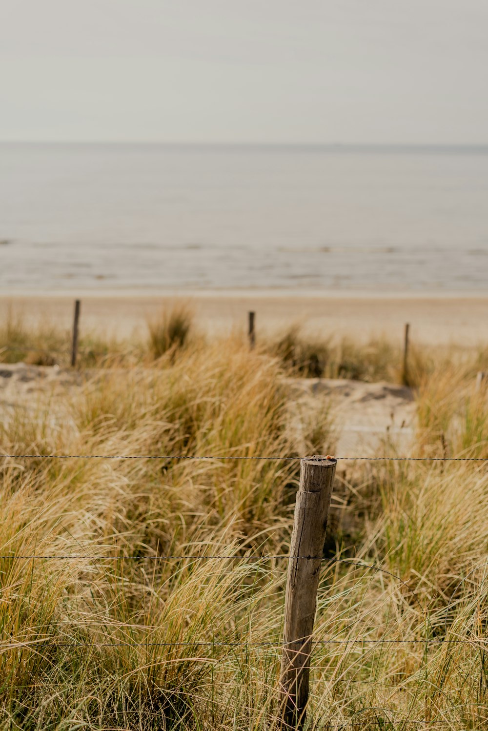 a wooden fence in front of a beach
