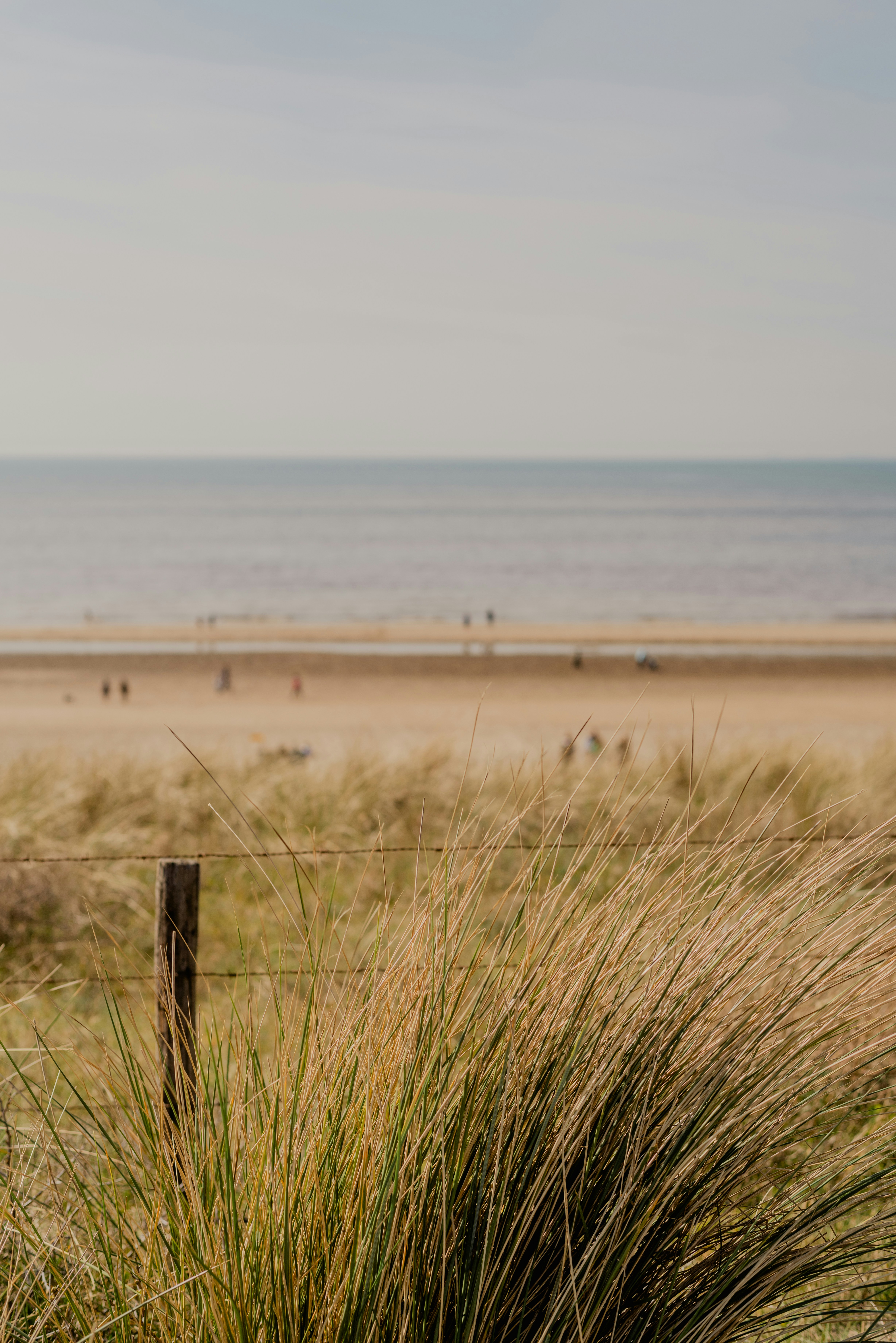 Photo by eugenivy_now