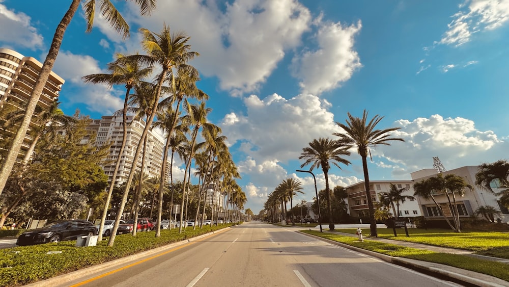 a street lined with palm trees and tall buildings