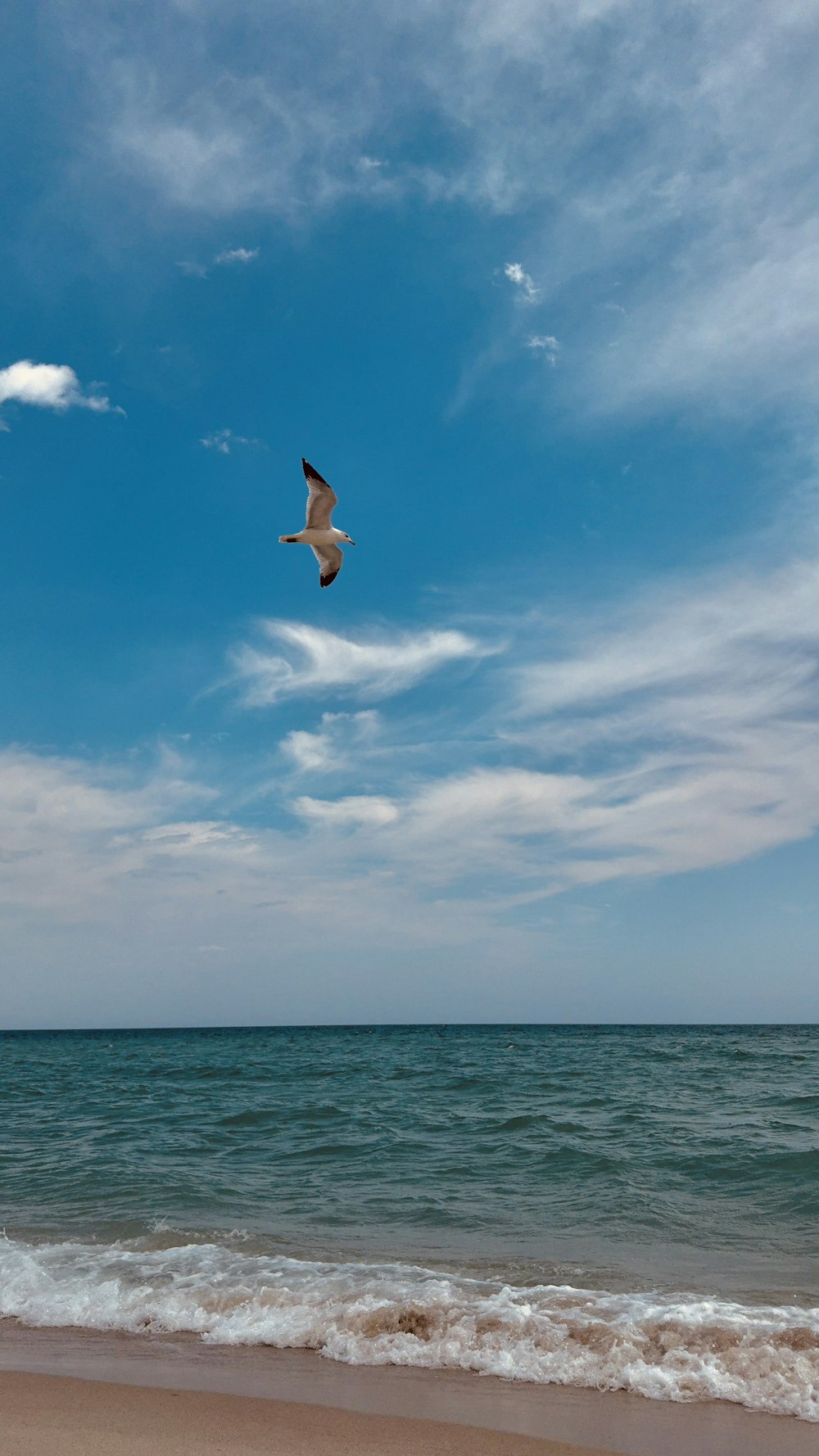 a bird flying over the ocean on a sunny day