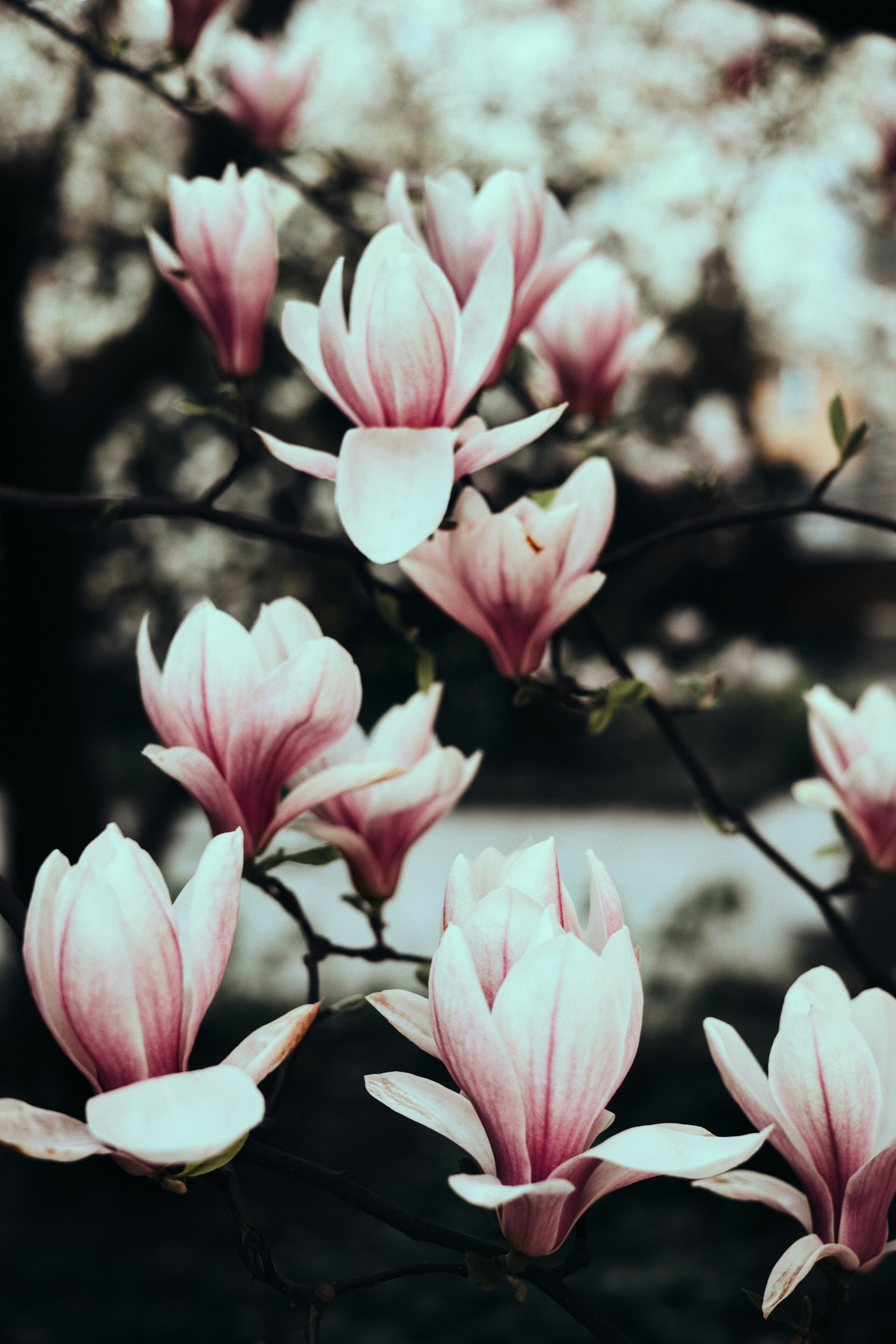 Photo by rebzden