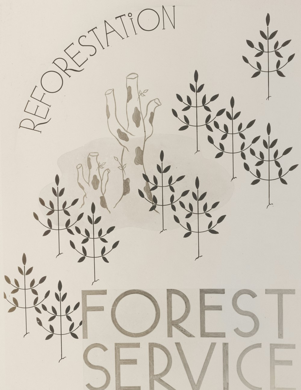 a picture of a forest service sign