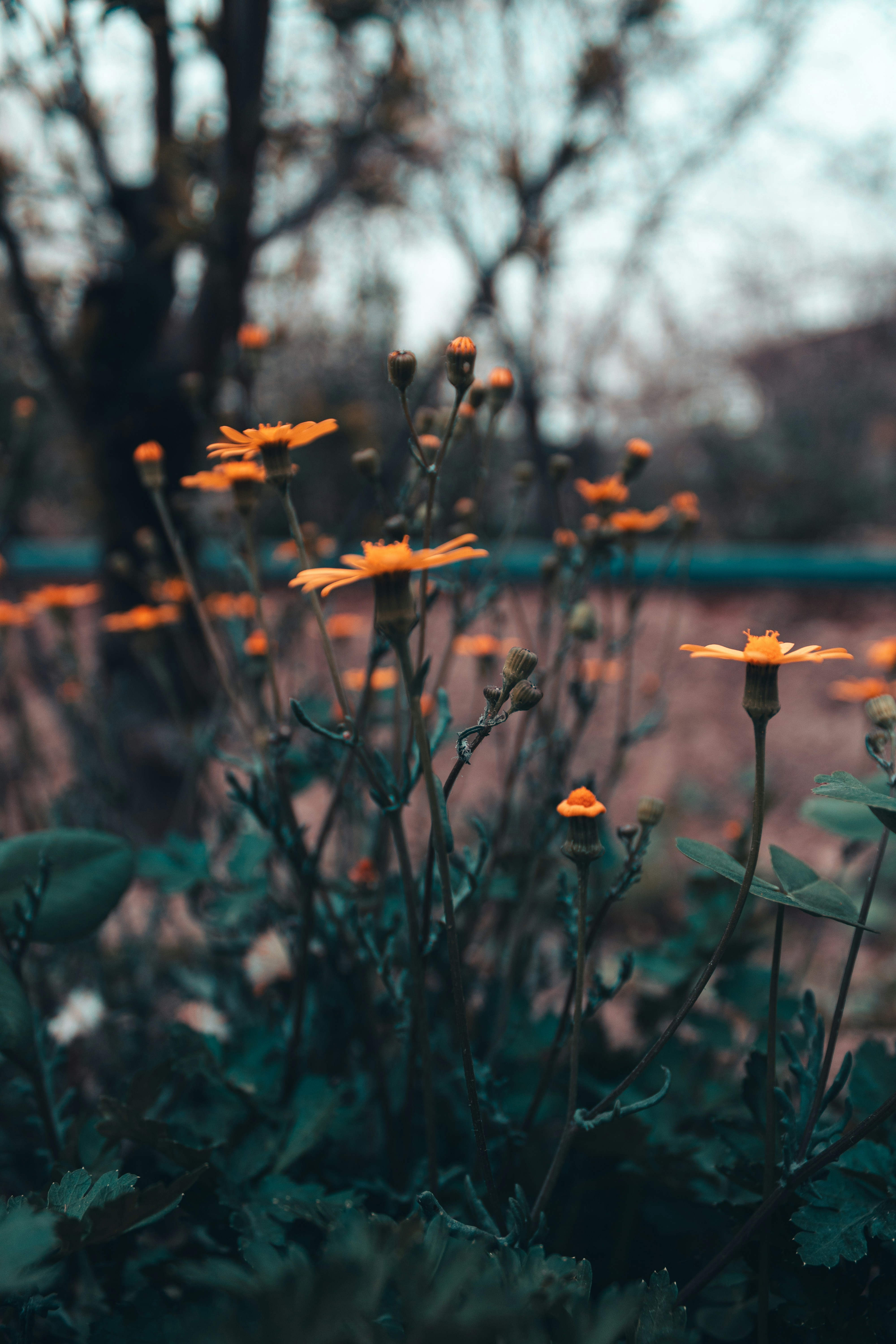 Photo by mohammadelikaei