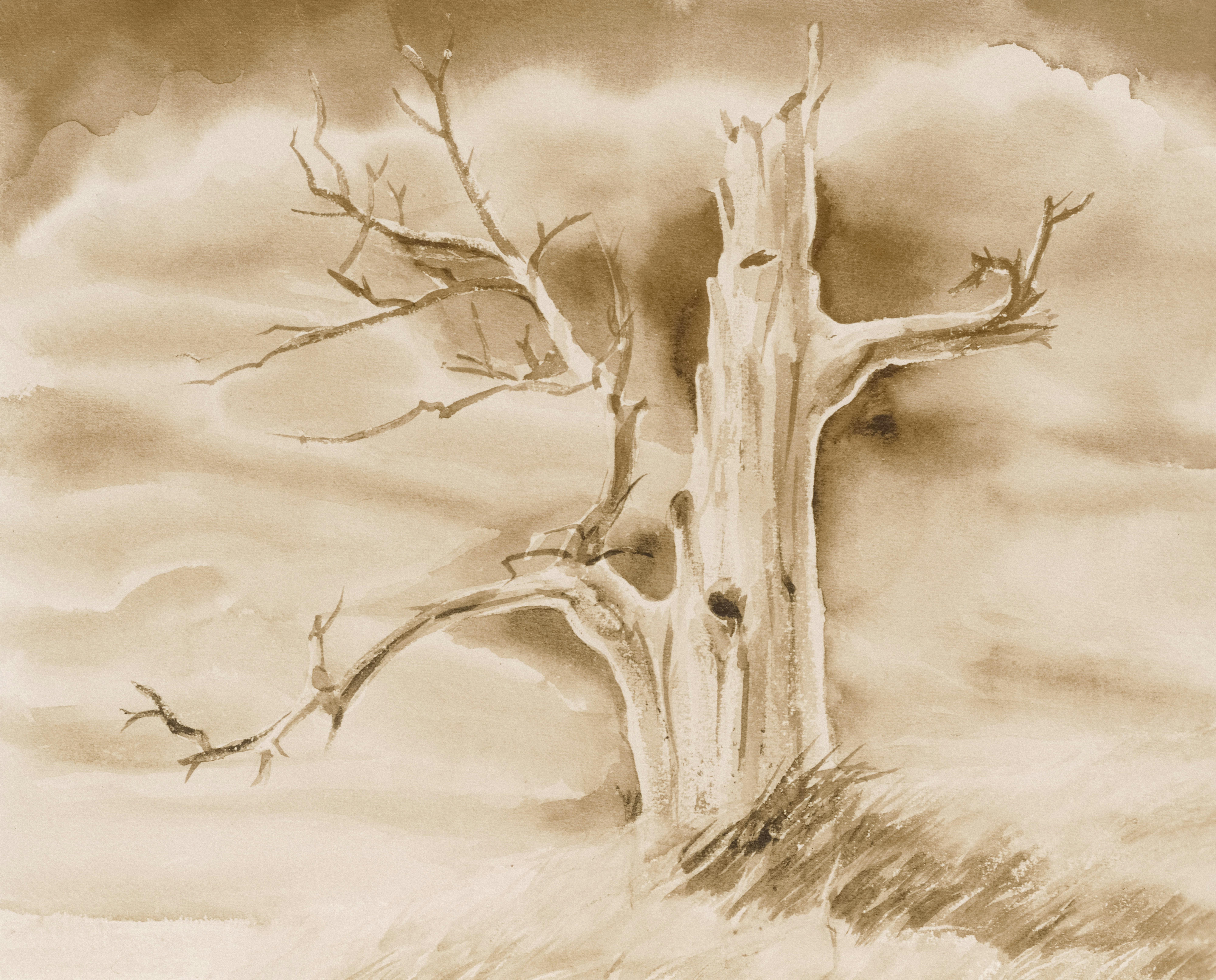 Lieblingston & Monochrom