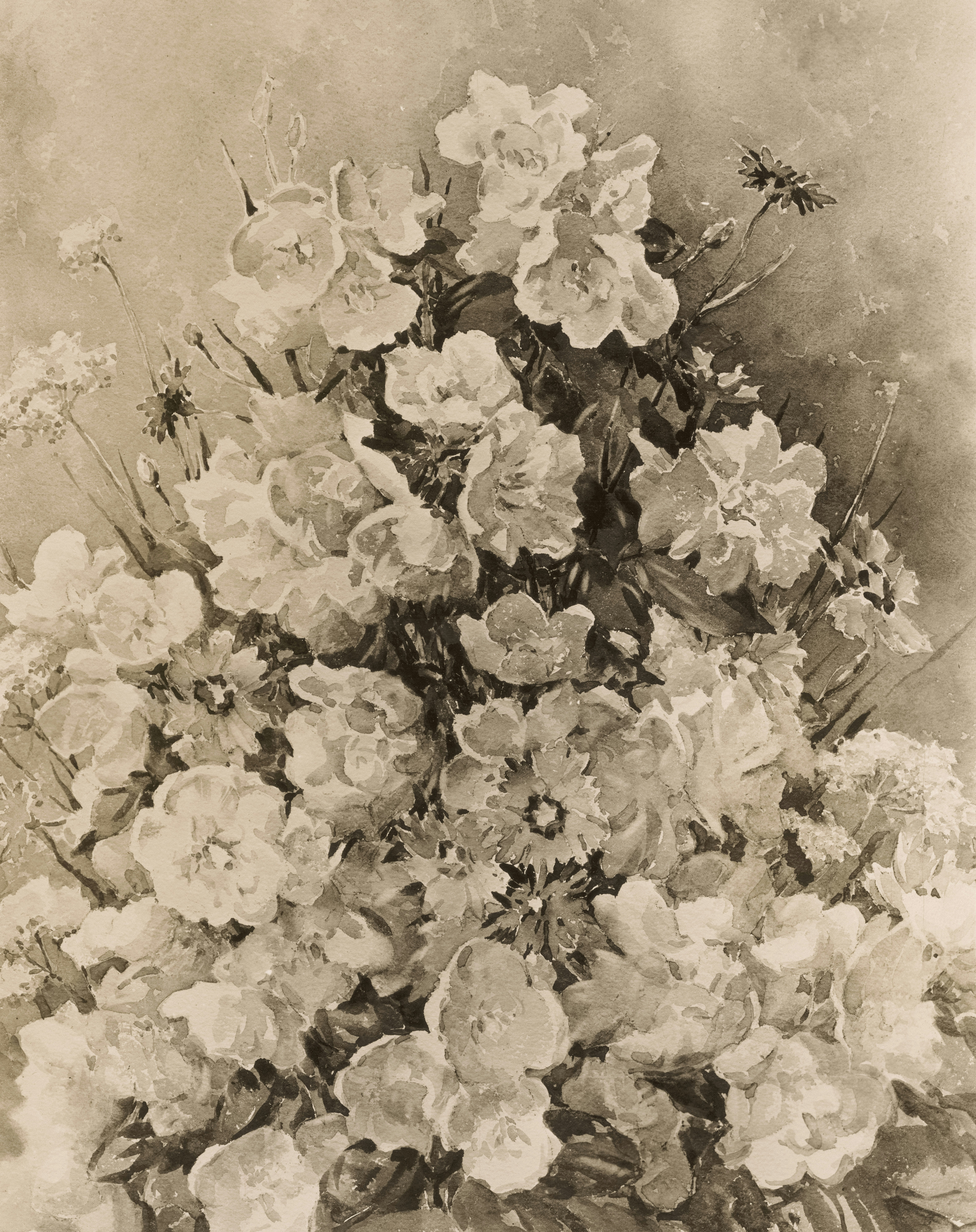 Photo by bostonpubliclibrary