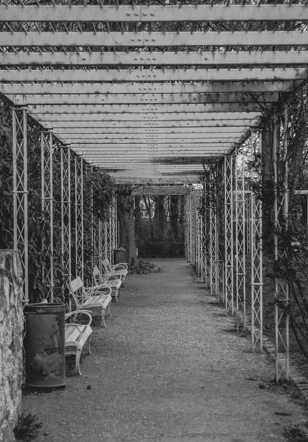 a black and white photo of benches under a pergoline