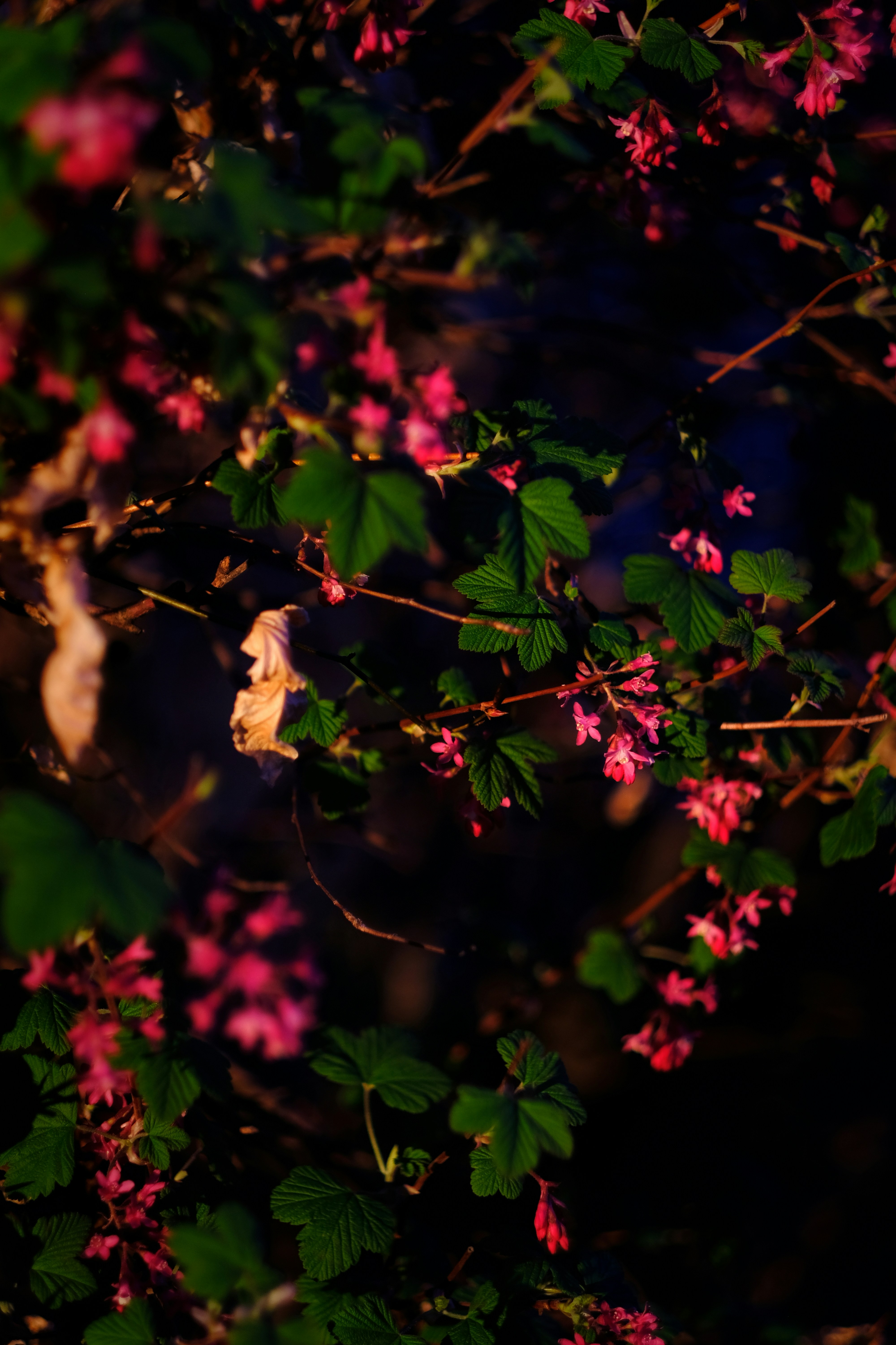 Photo by zaralazarov