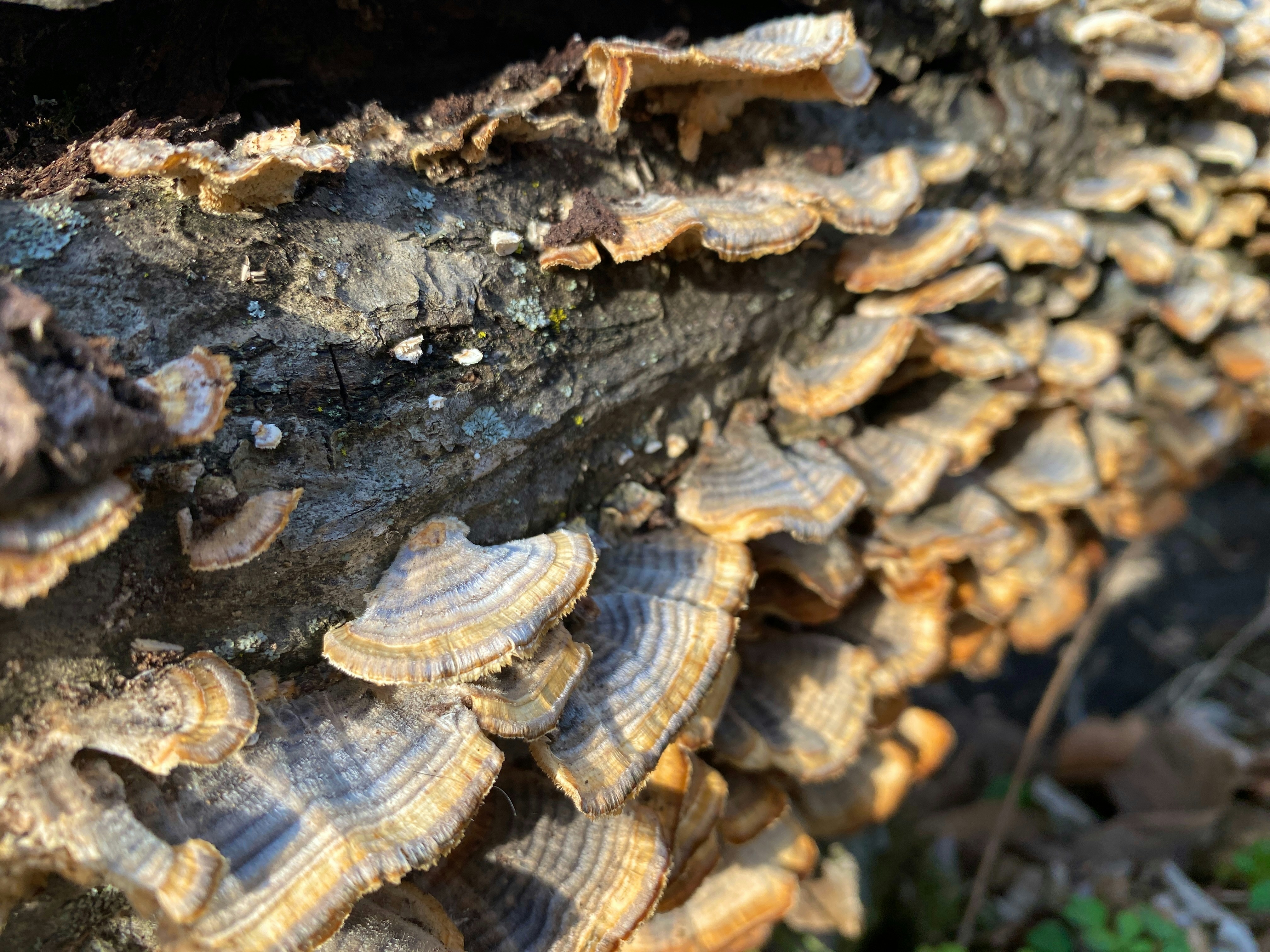 Photo by americanjael