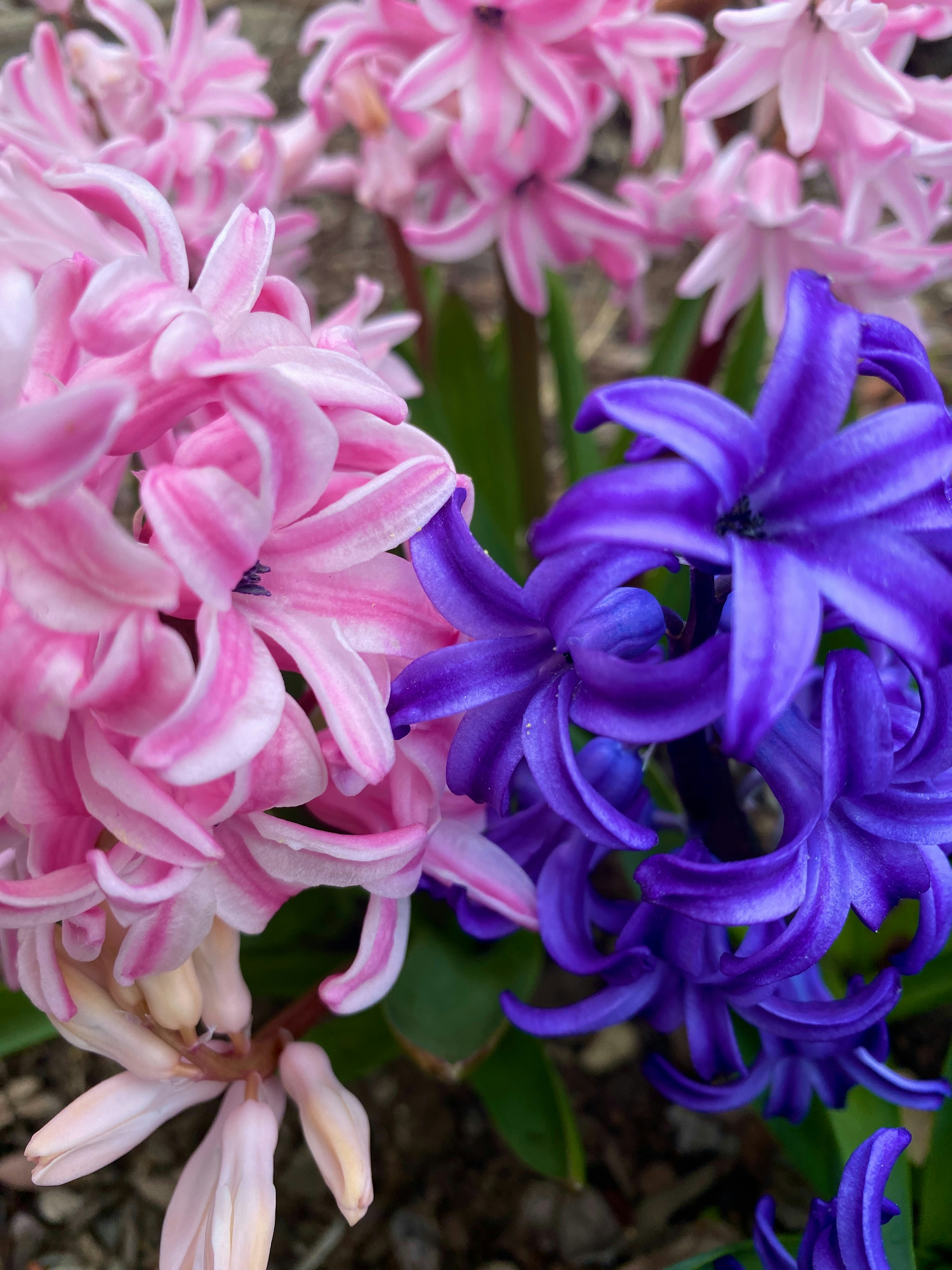 Photo by americanjael