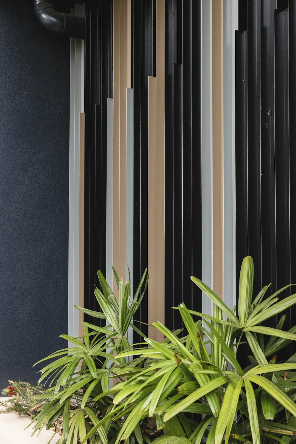 a large green plant sitting next to a tall building