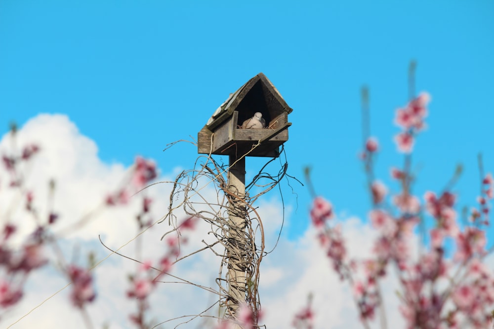 a bird house sitting on top of a tree