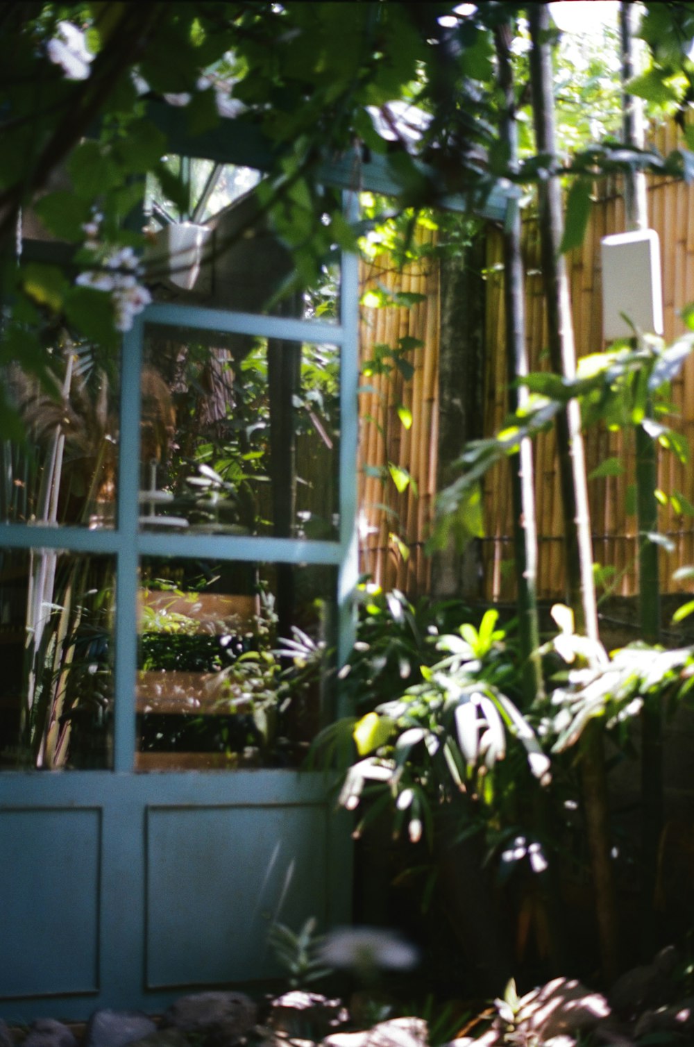 an open door leading into a lush green garden