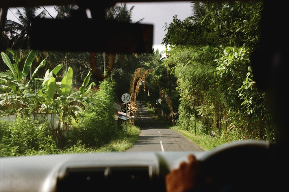 a car driving down a road next to a lush green forest