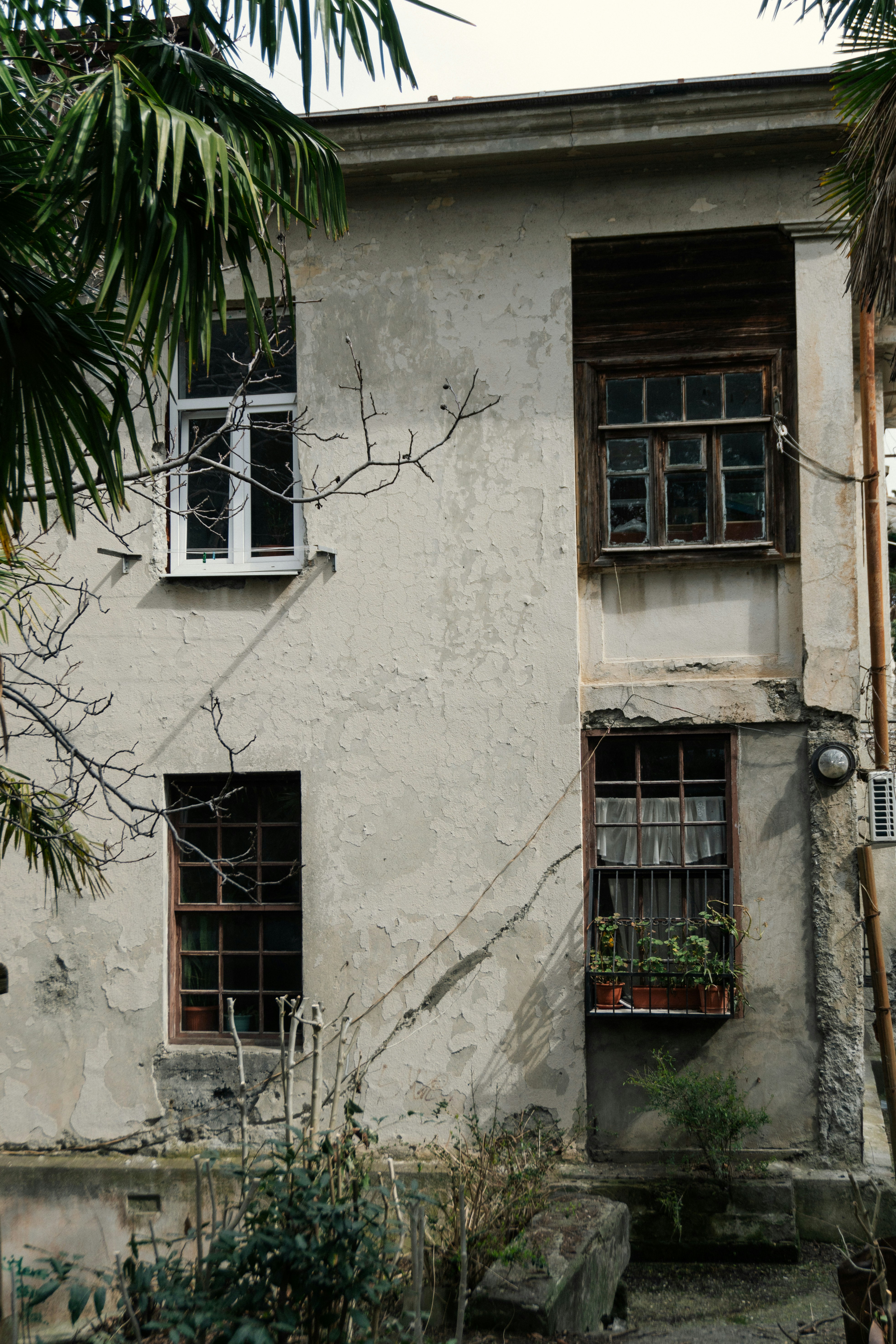 Photo by angrygrandmama