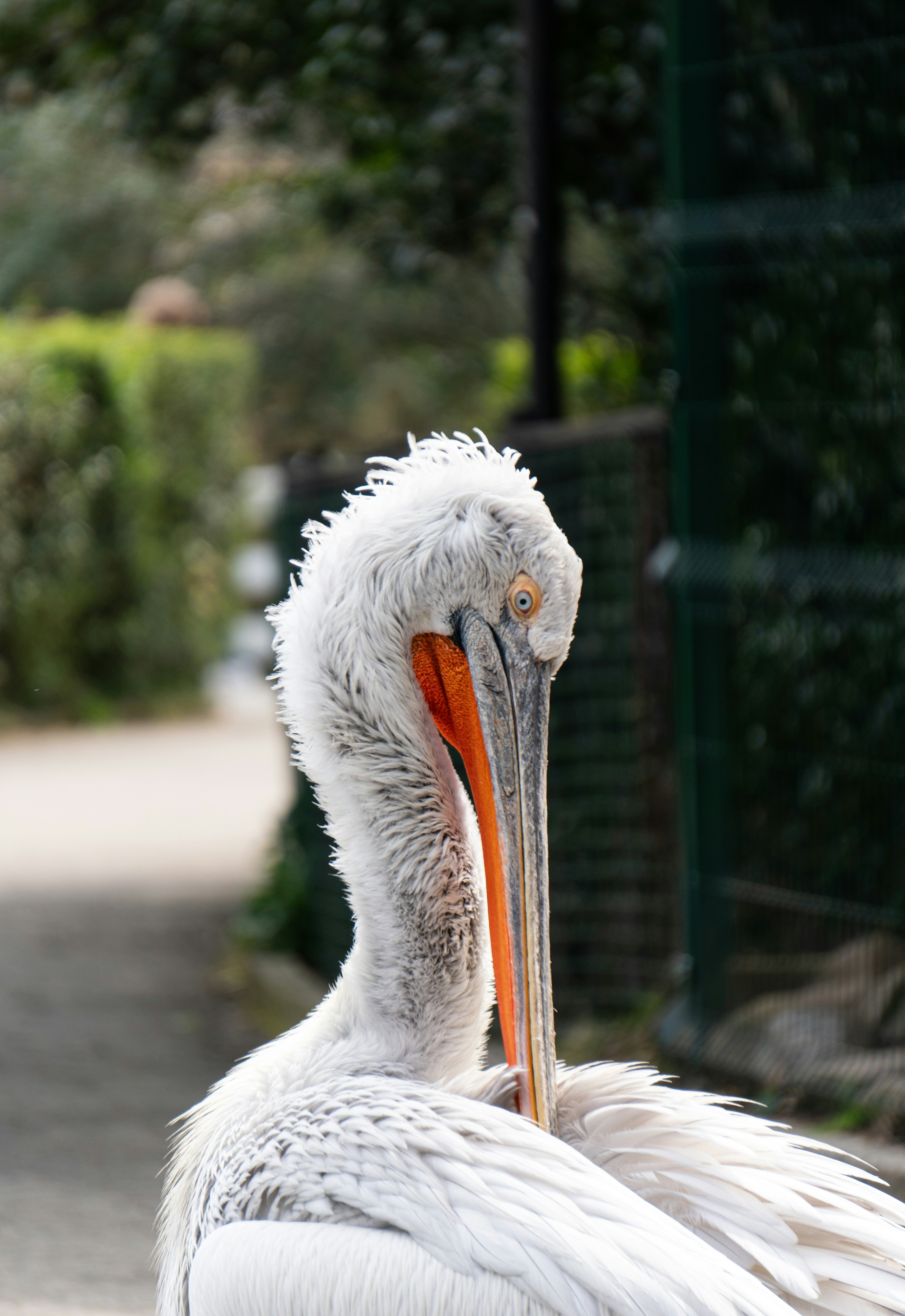 Photo by angrygrandmama