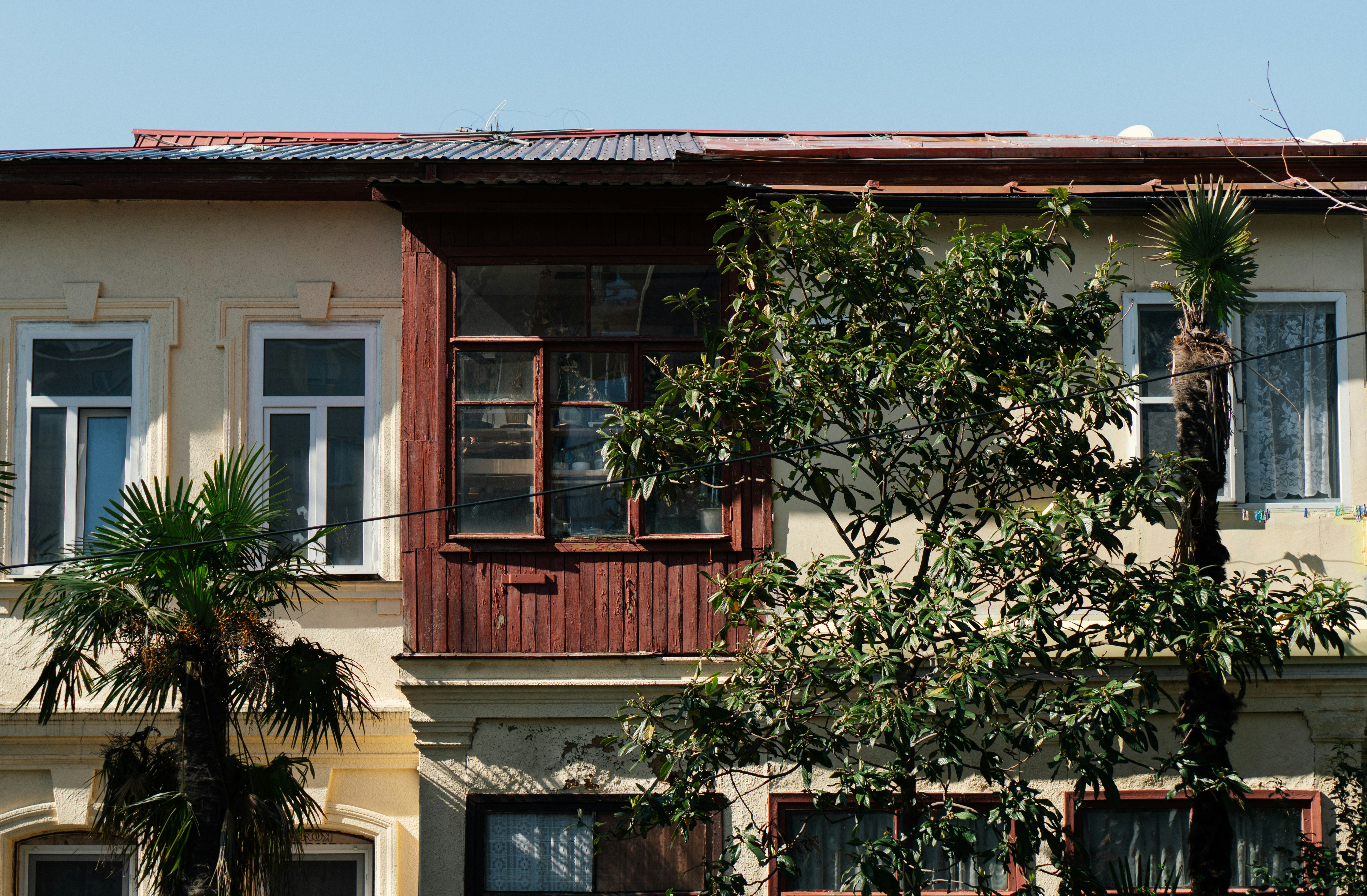 Photo by angrygrandmama