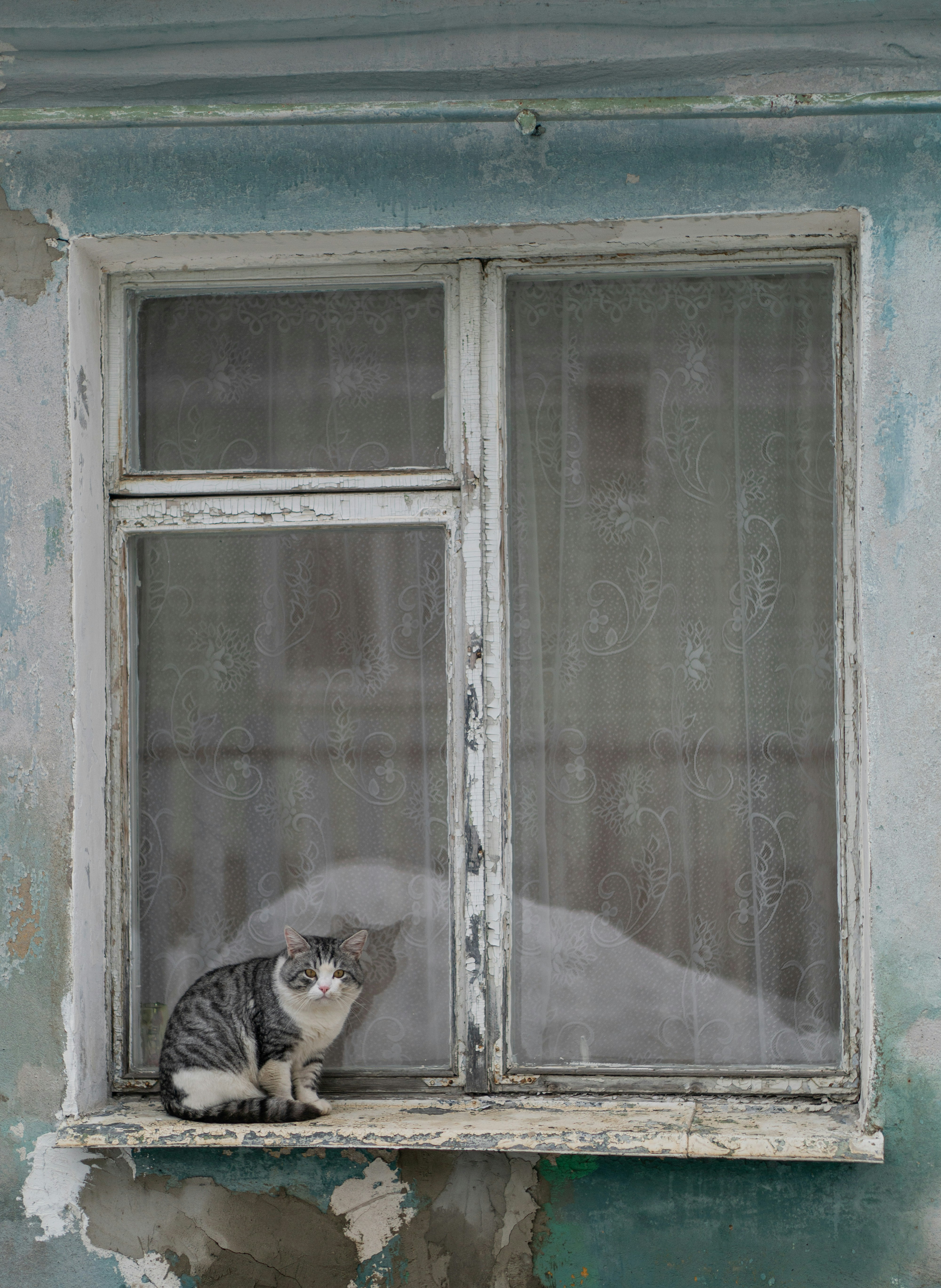 Photo by angrygrandmama