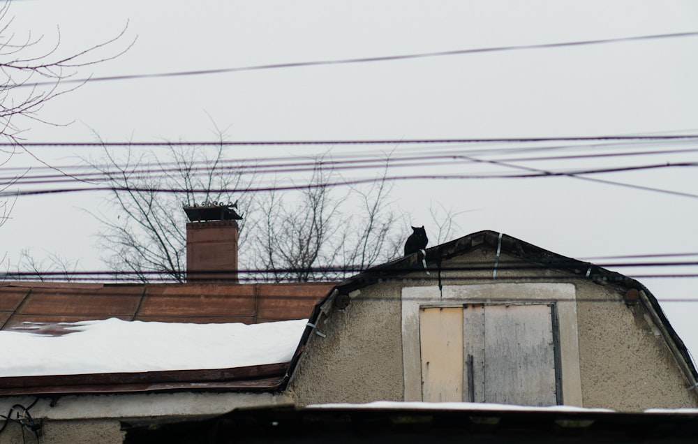 a black bird sitting on top of a roof