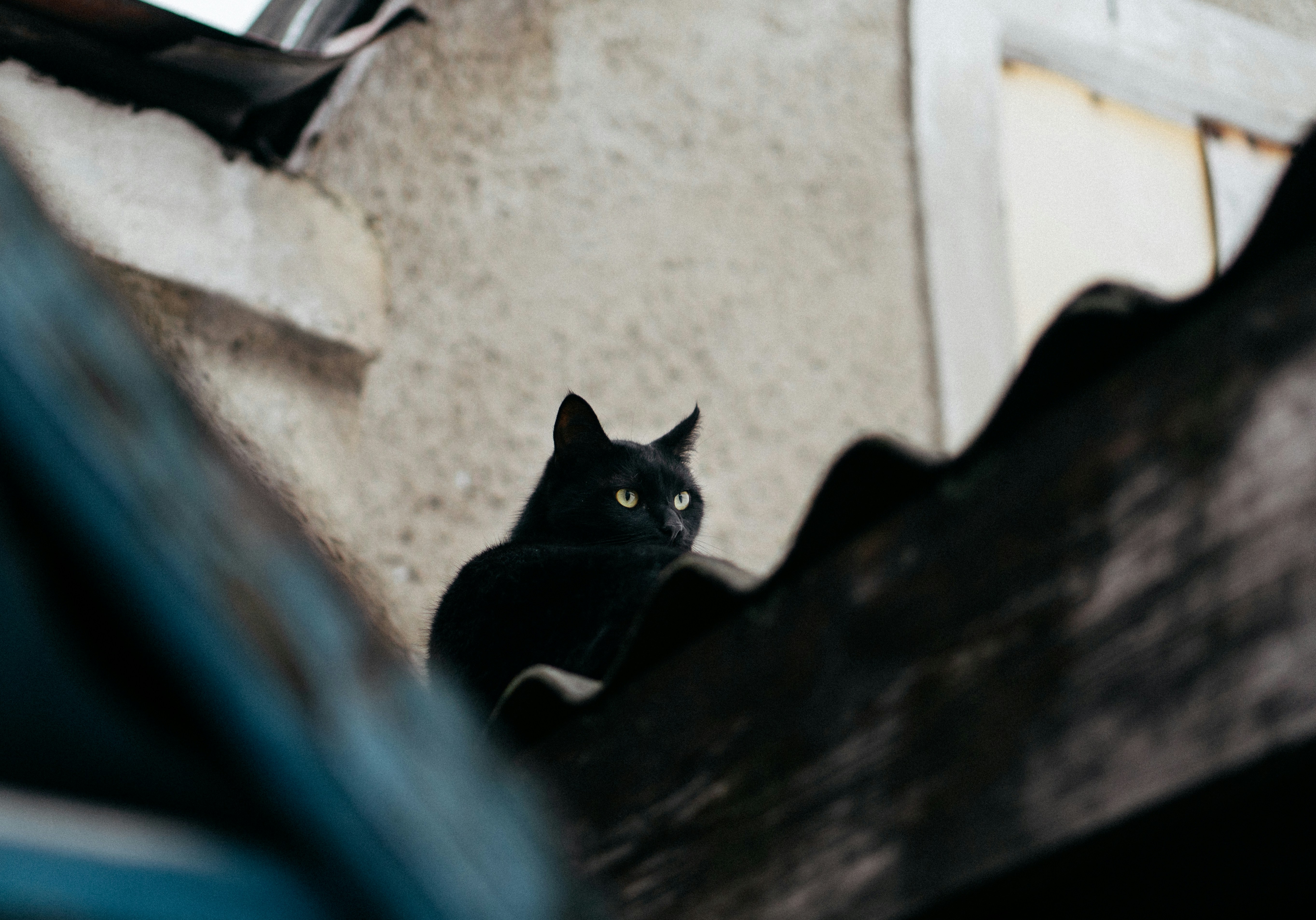 Photo by angrygrandmama