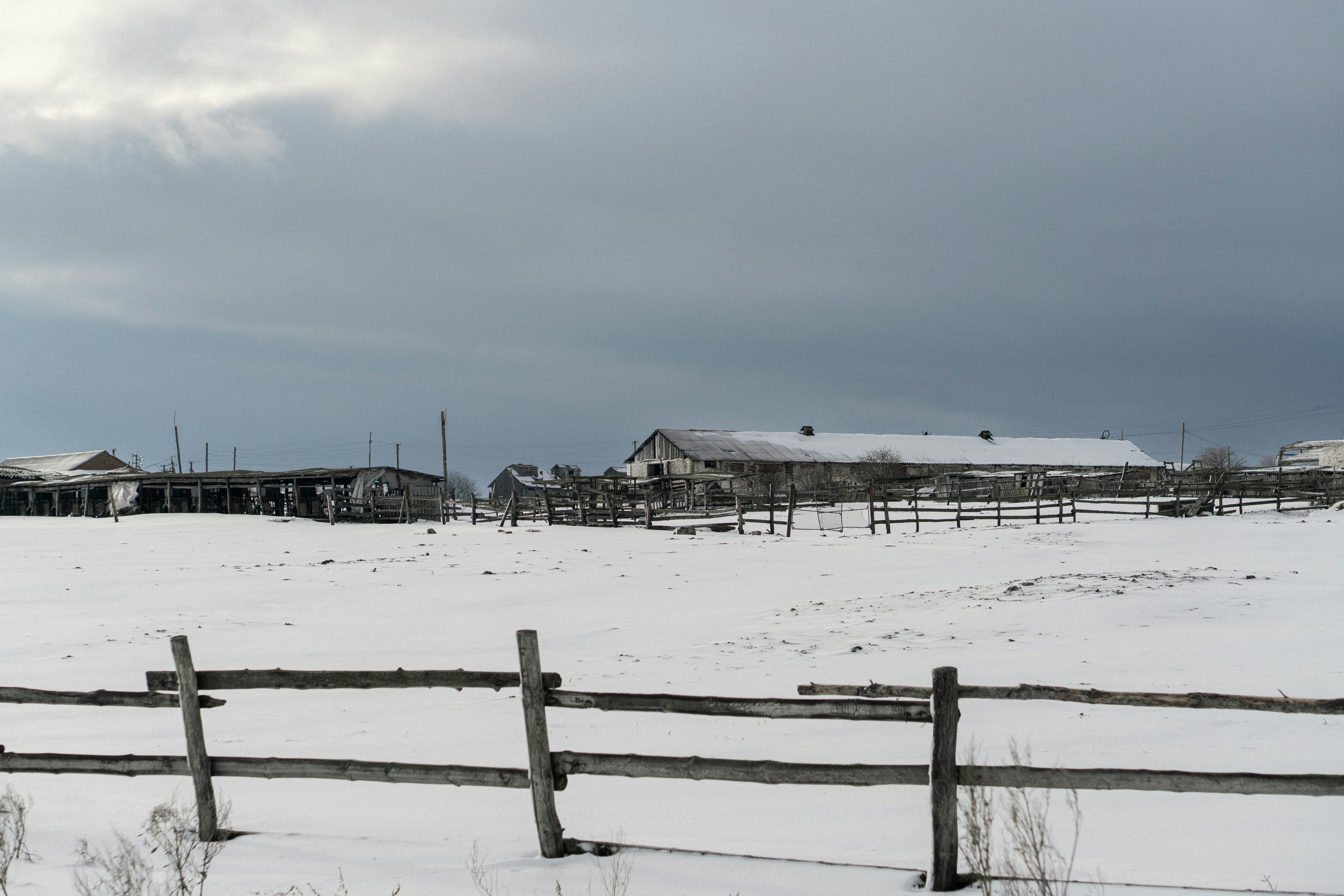 Photo by angrygrandmama