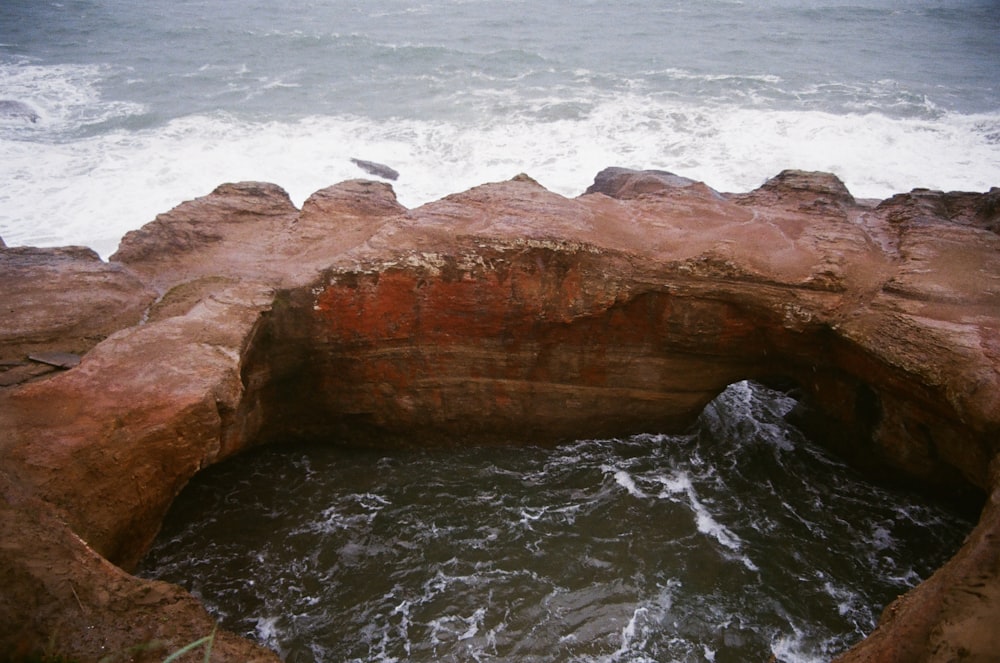 a bird sitting on top of a rock formation near the ocean