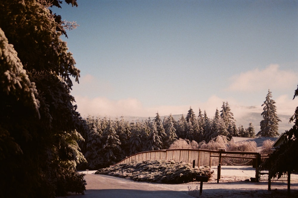 a wooden bridge over a snow covered field