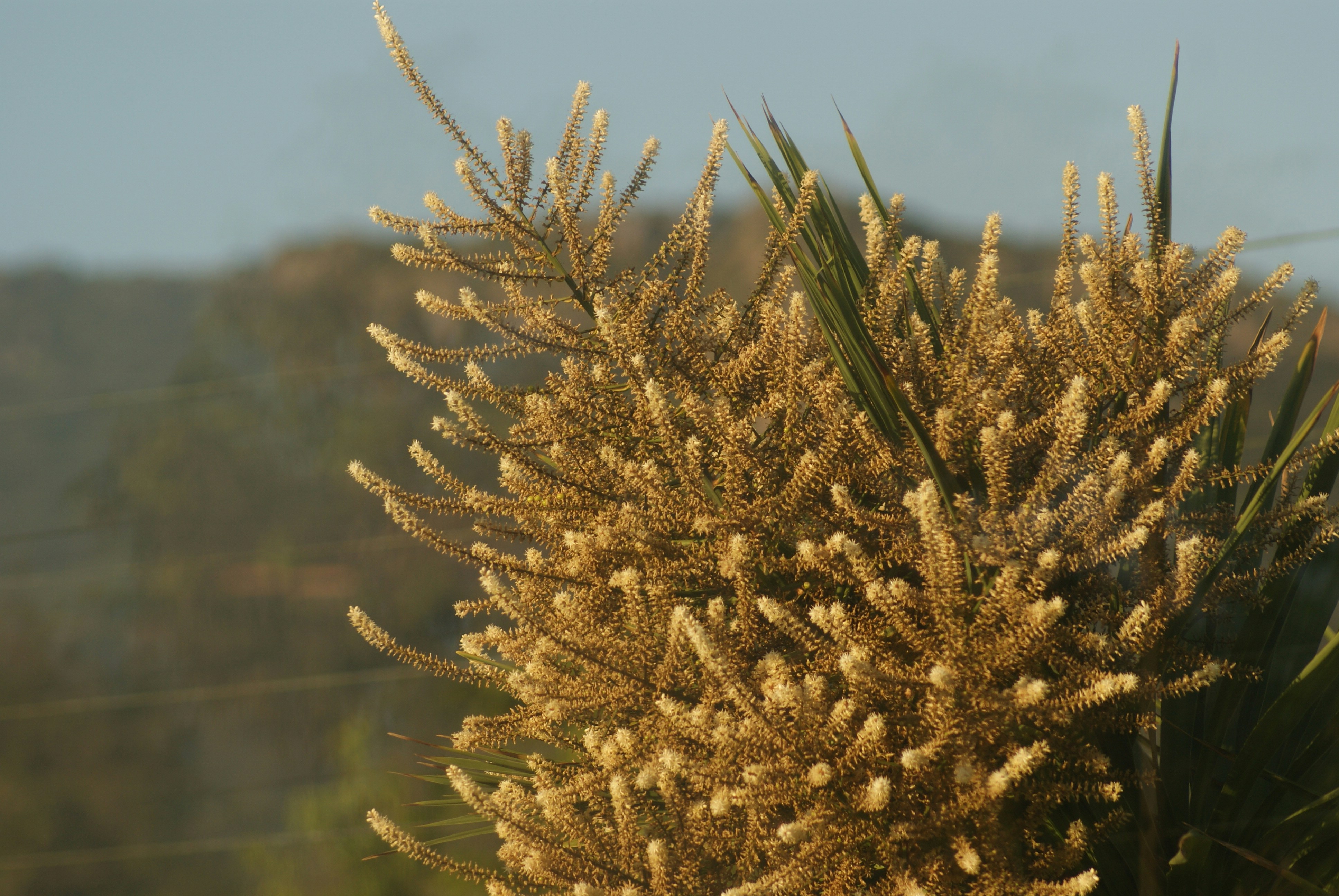 Photo by nickschneider