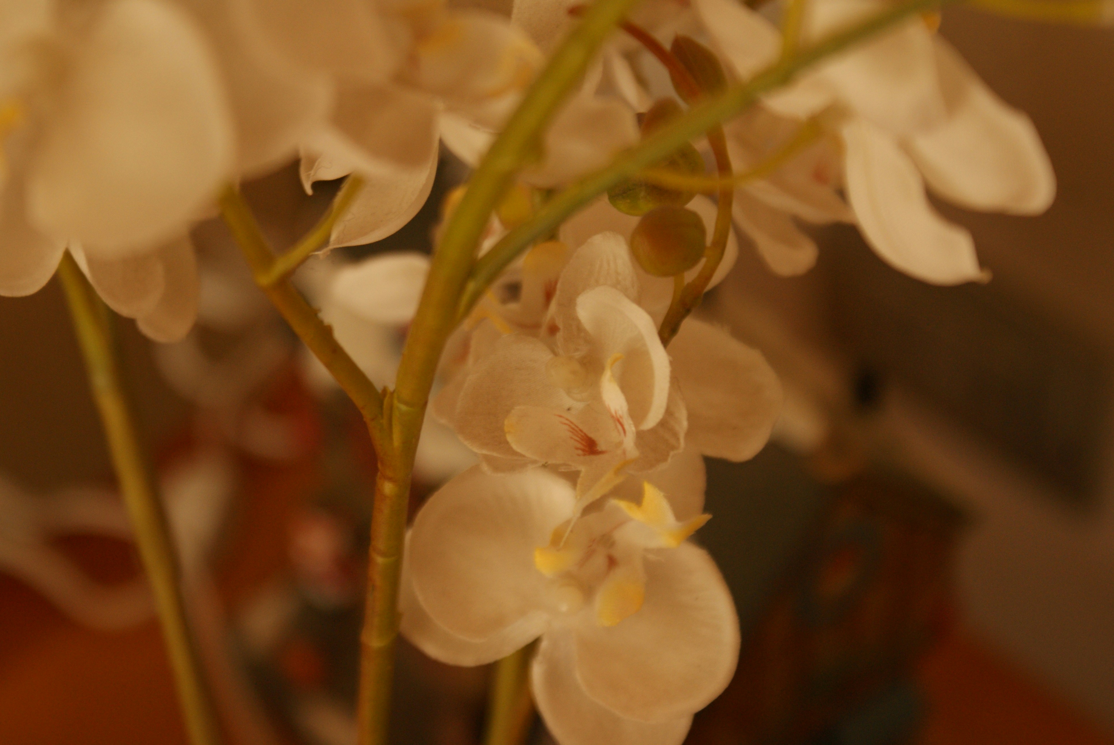 Photo by nickschneider