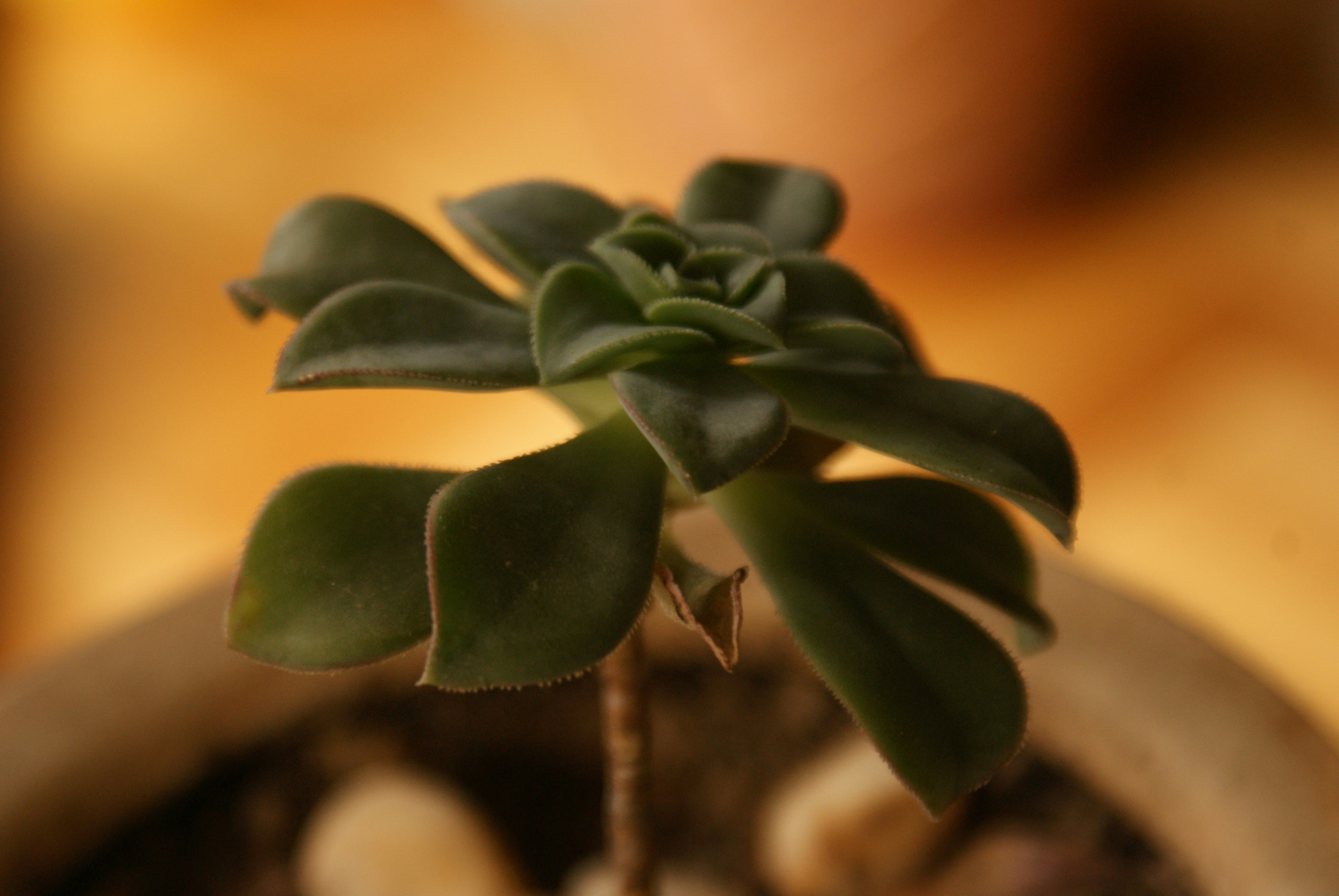 Photo by nickschneider