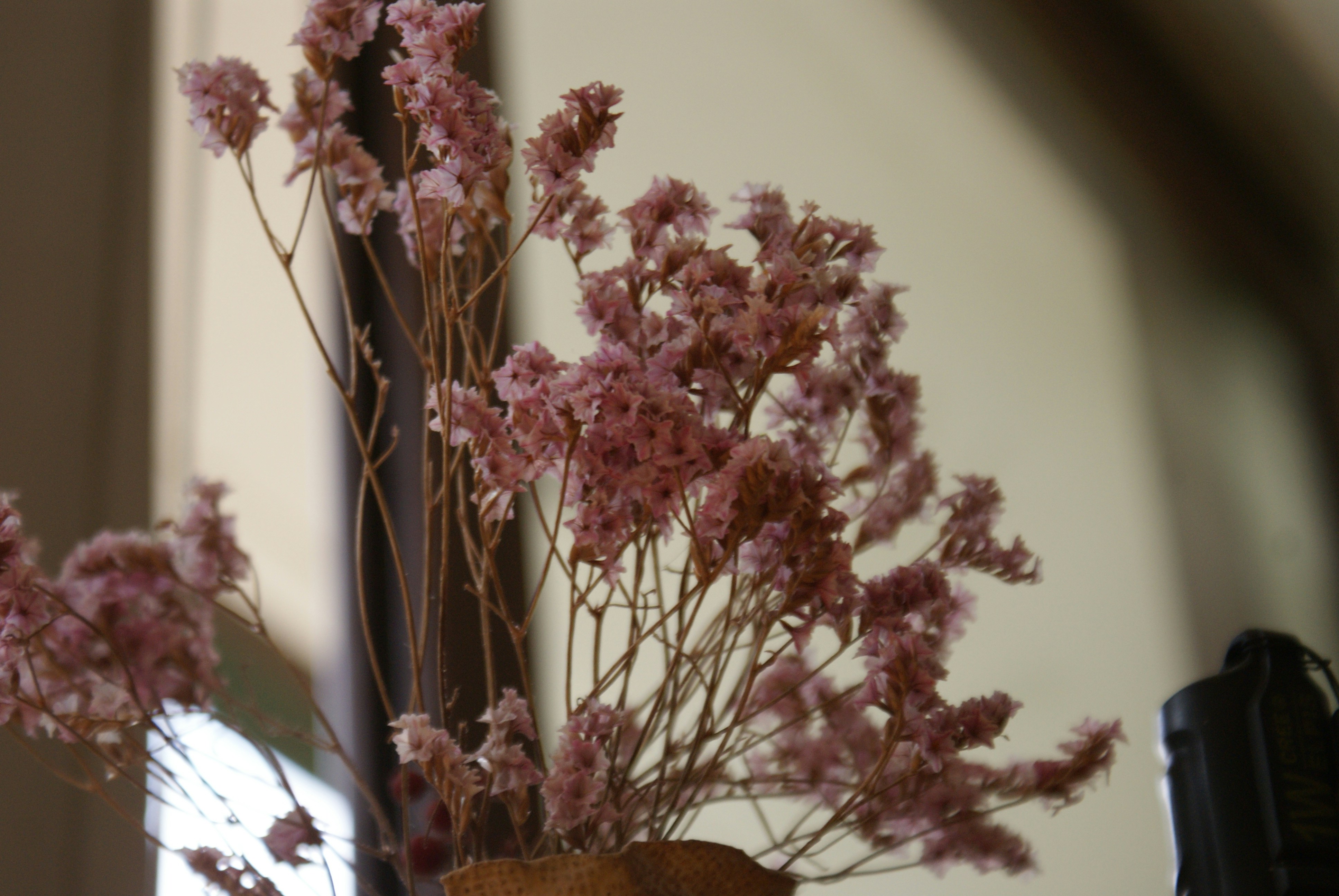 Photo by nickschneider