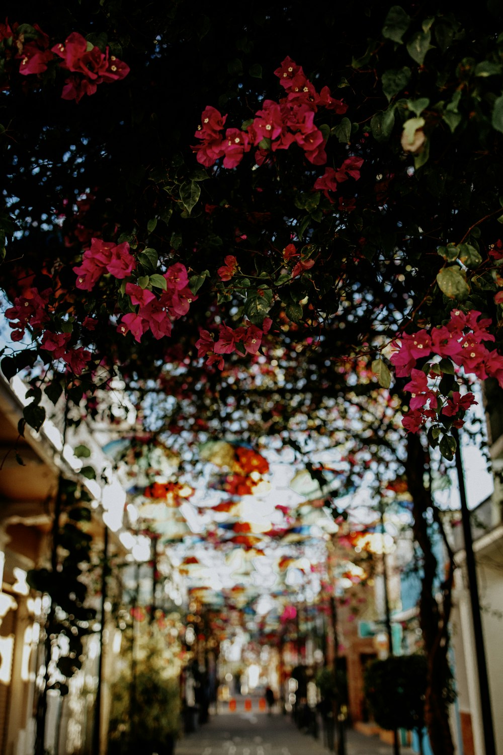 a street lined with lots of pink flowers