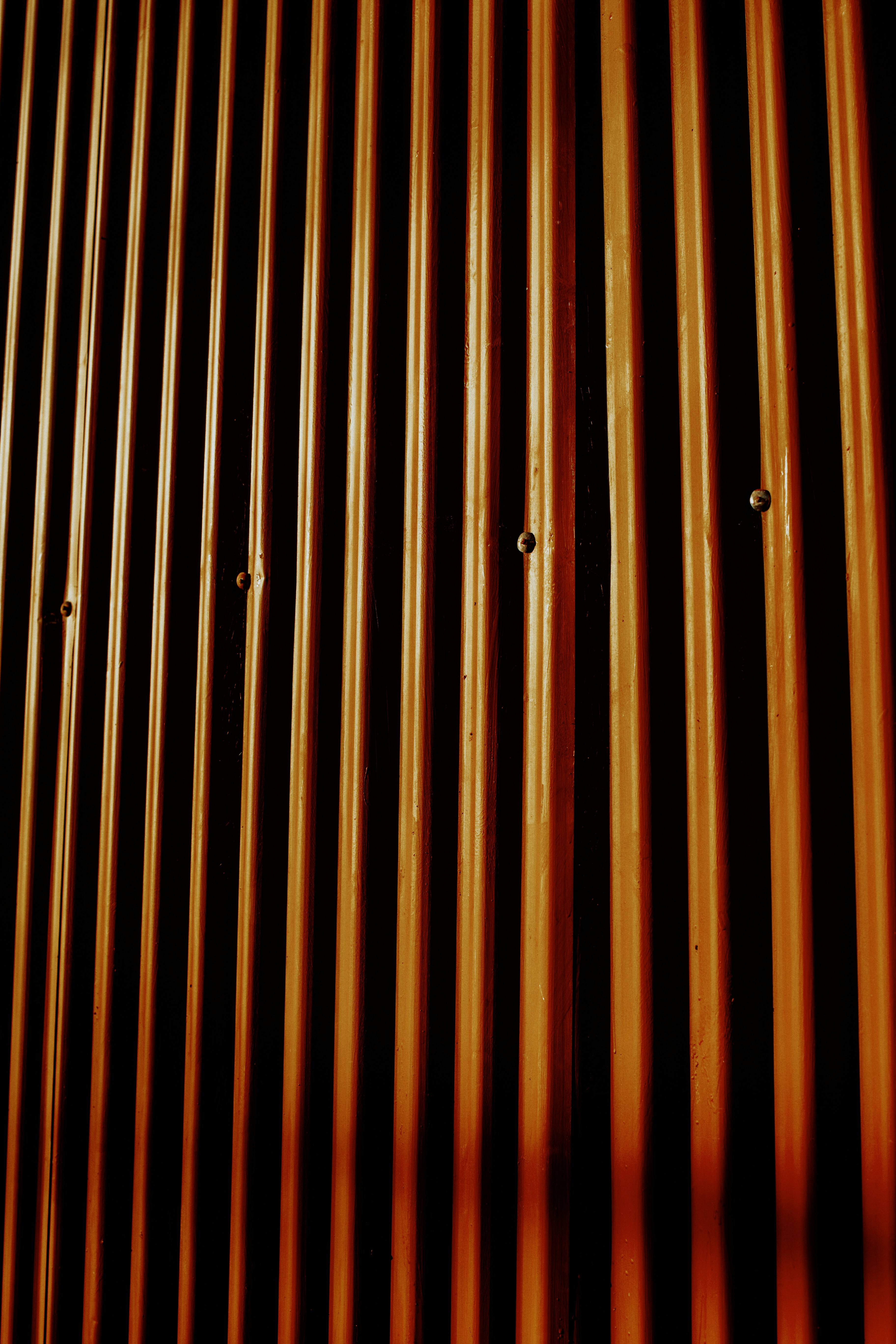 Photo by ronaldvargaz