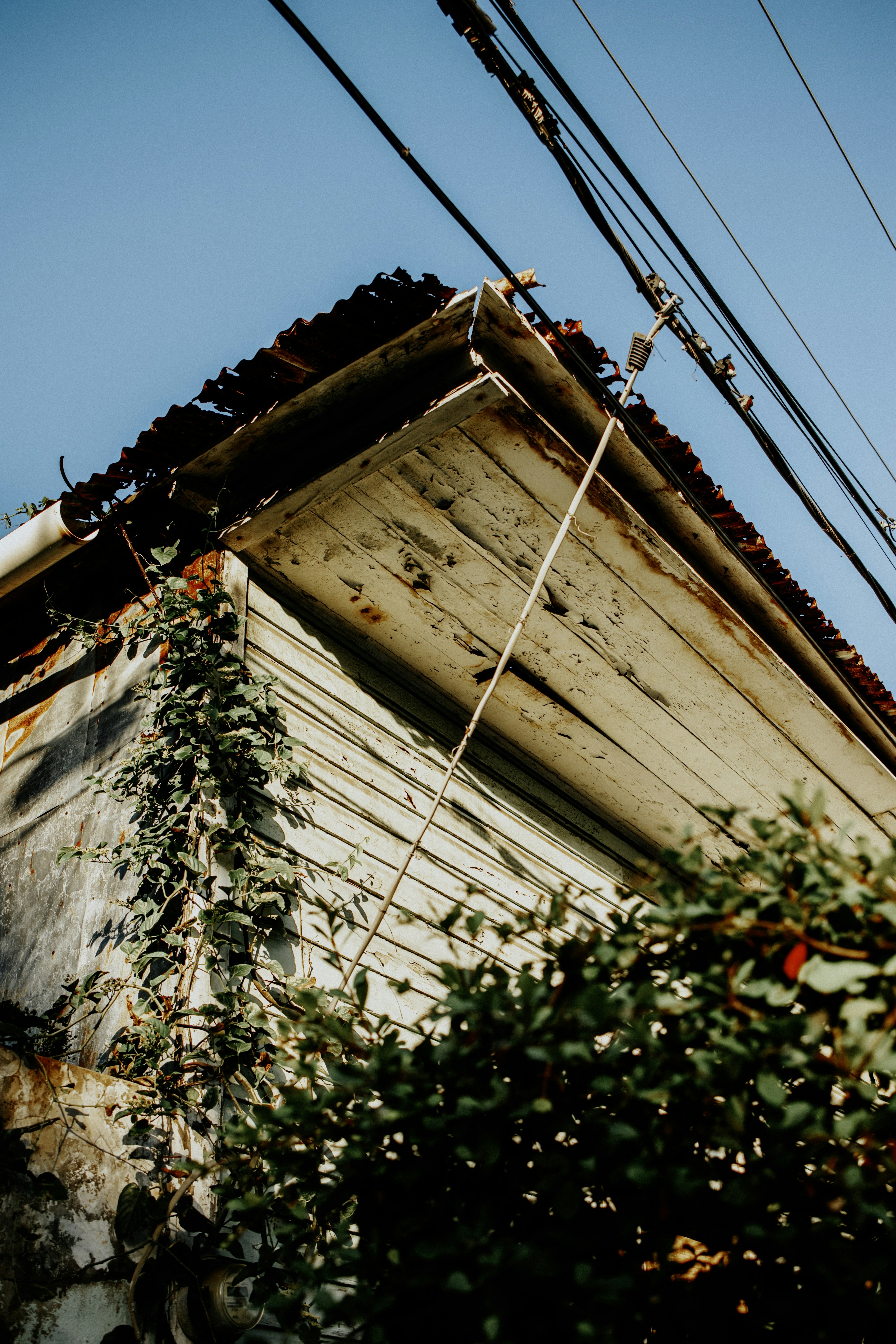 Un edificio antiguo con enredaderas que crecen a un lado