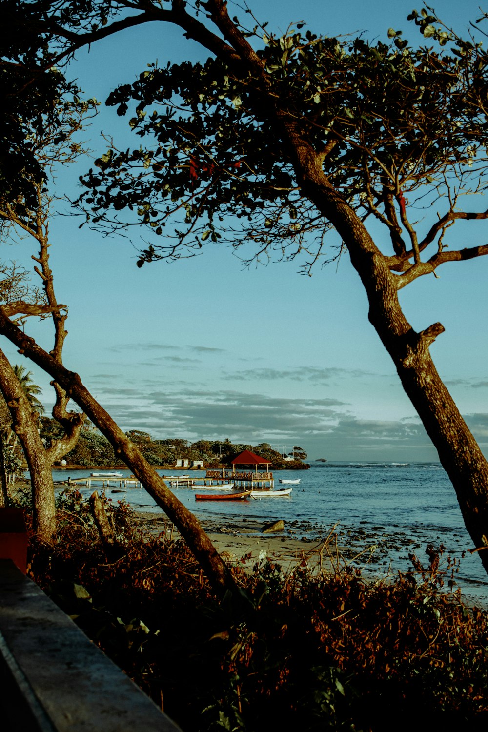 a bench sitting next to a body of water