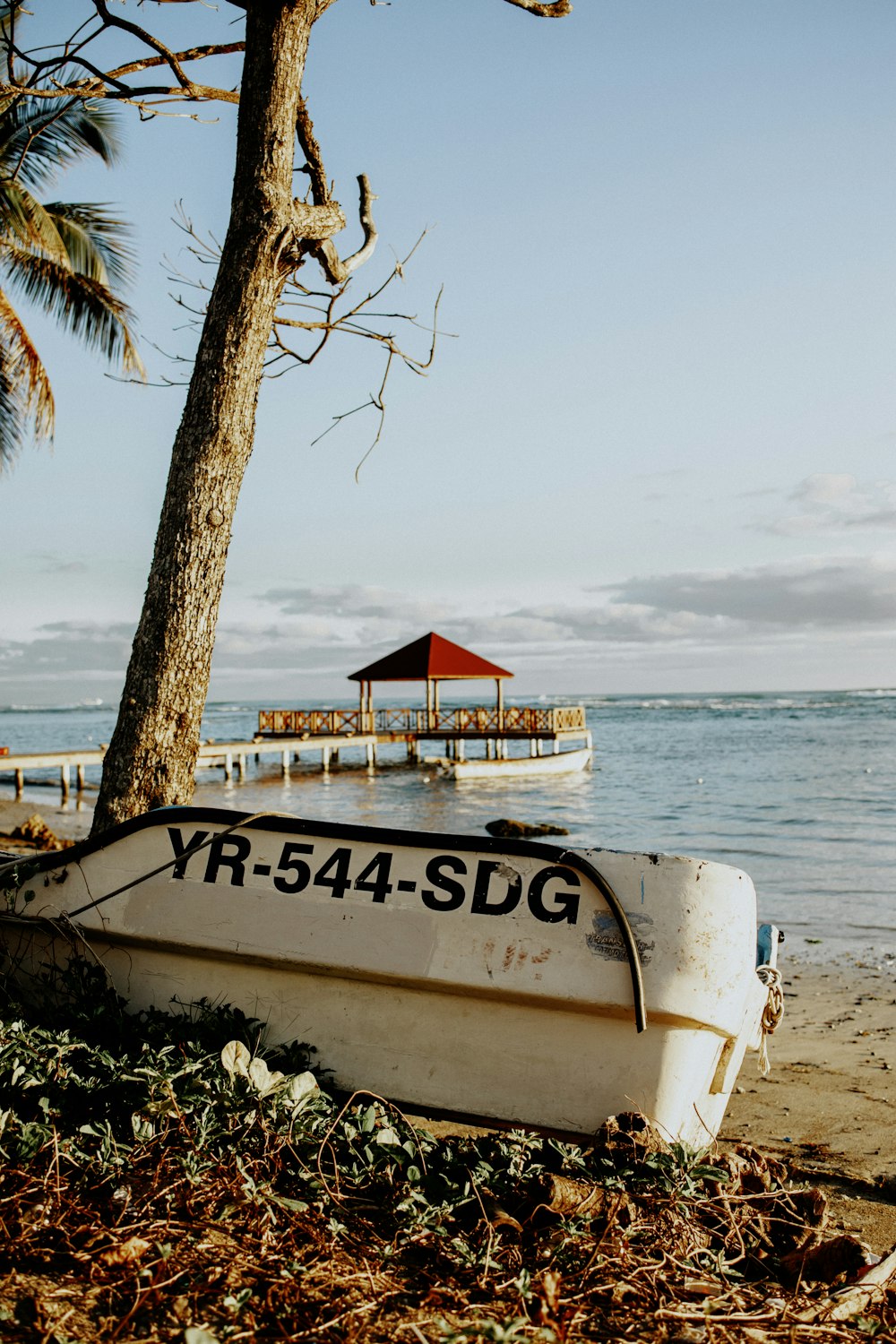 a boat sitting on top of a beach next to a tree